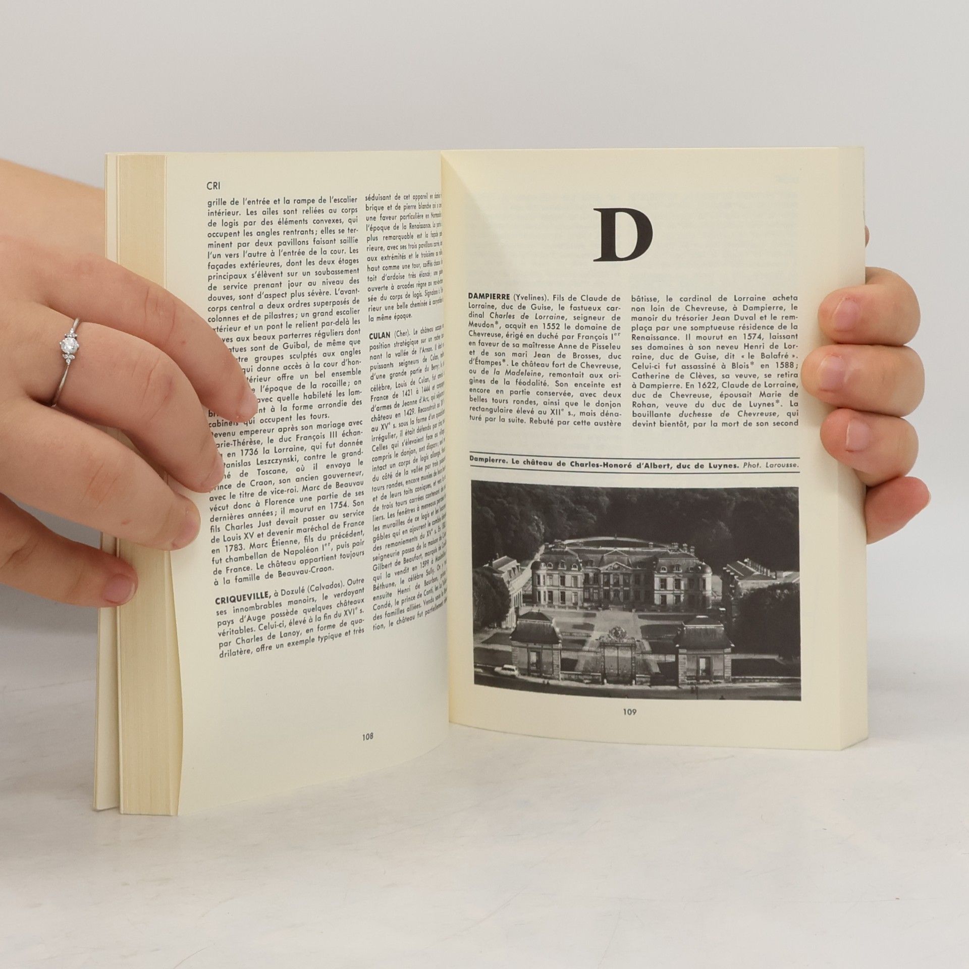 Bernard de Montgolfier Dictionnaire des châteaux de France