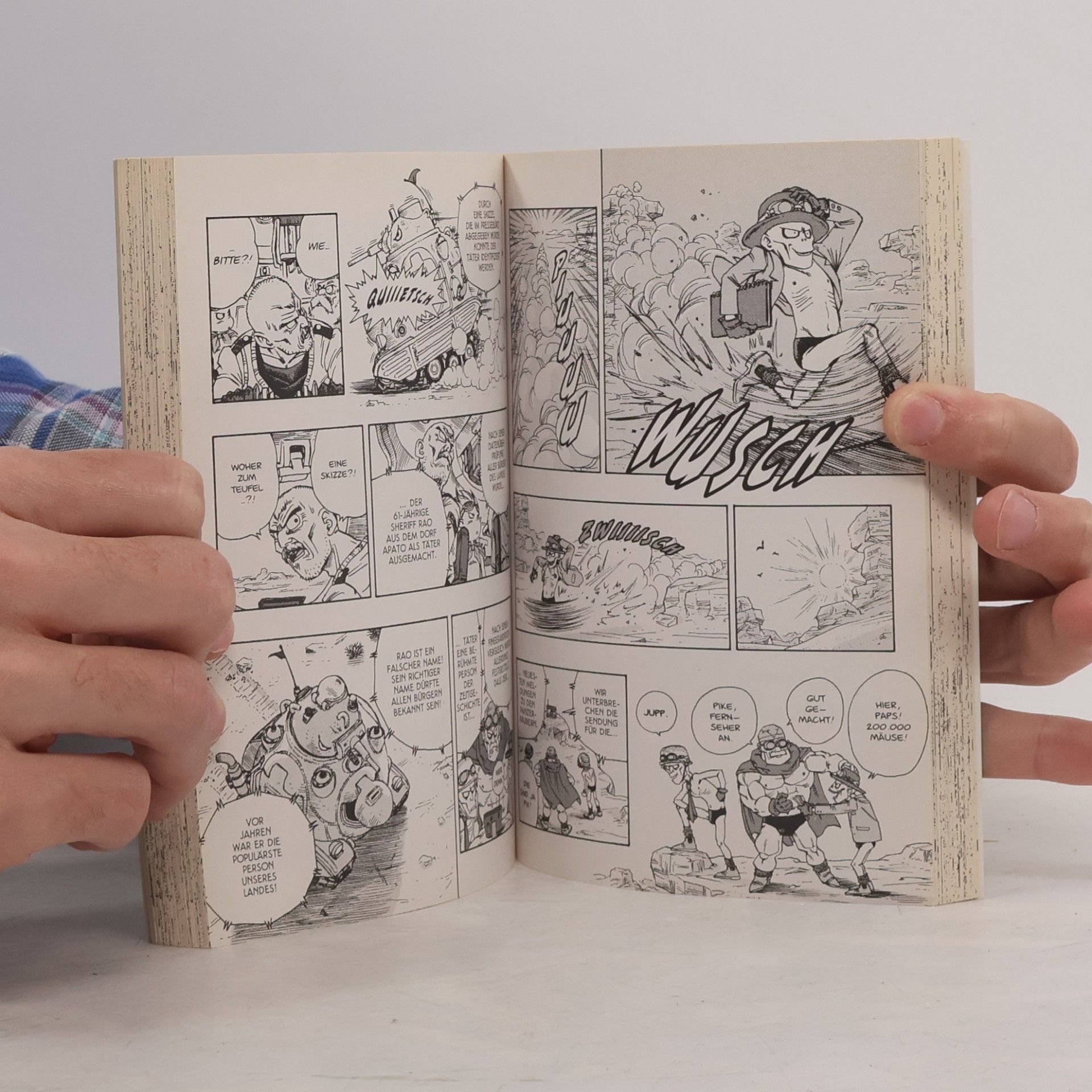 Akira Toriyama Sandland