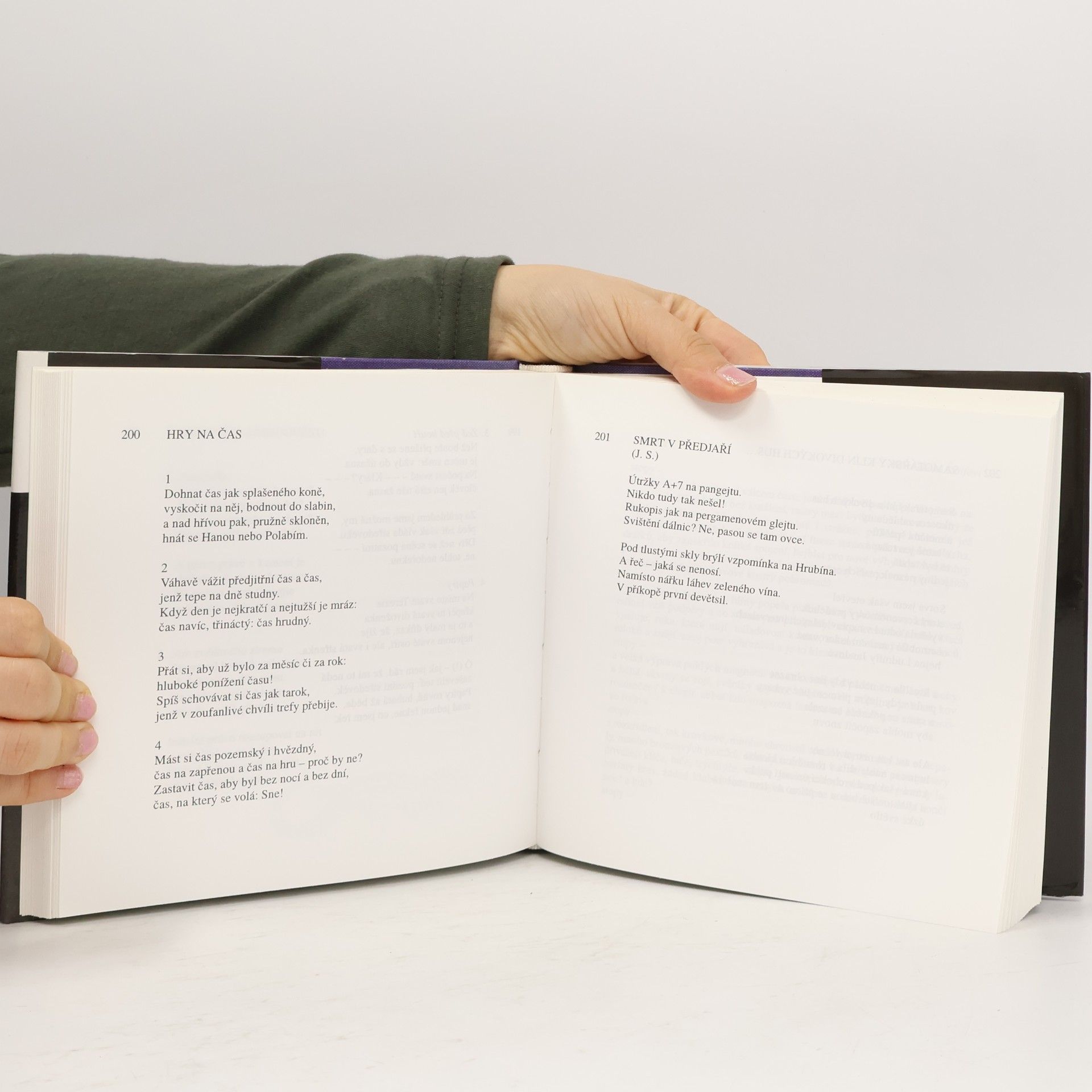 Ludvík Kundera Úhledná džungle