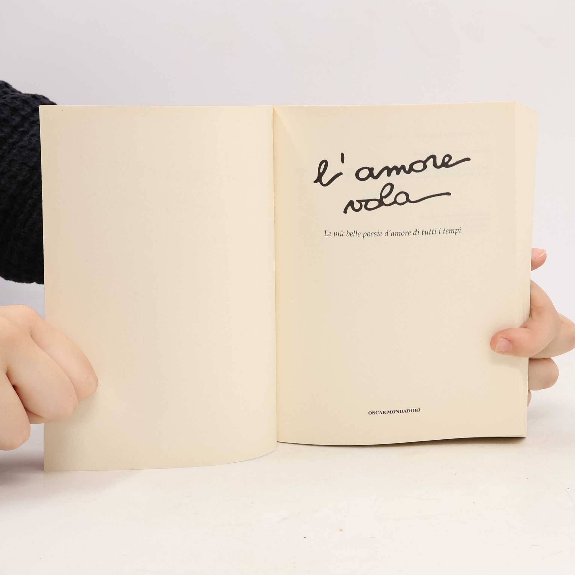 kolektiv l'amore vola