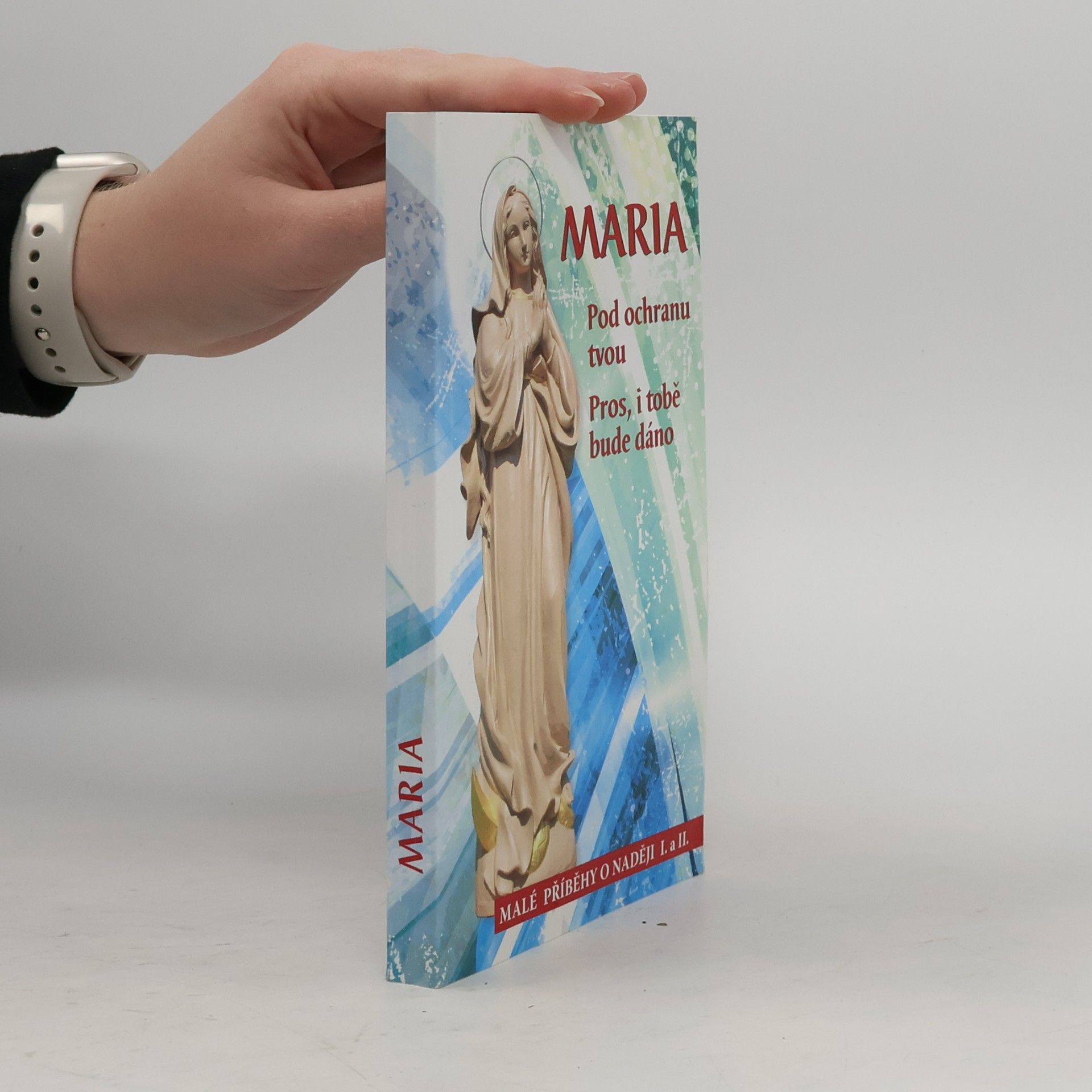 kolektiv Maria