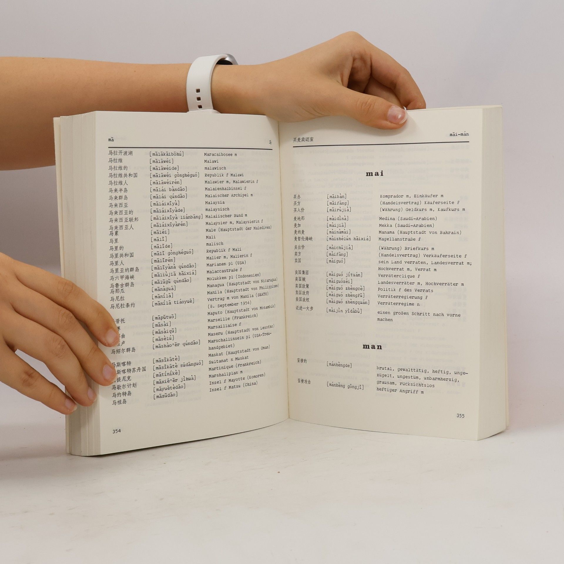Stephan Jaschek Chinesisch-deutsches Wörterbuch der internationalen Beziehungen