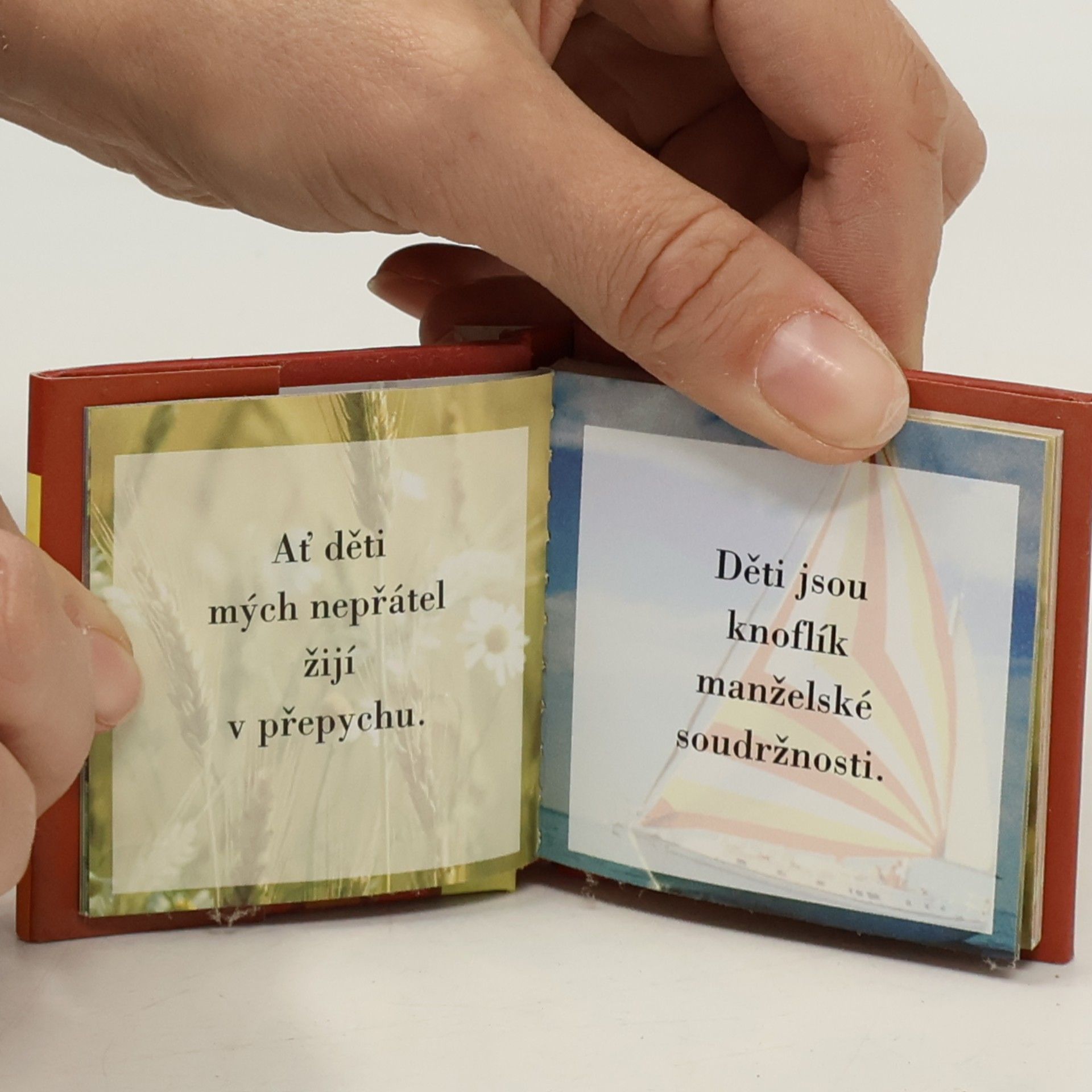 Kolektiv autorů Báječná rodina