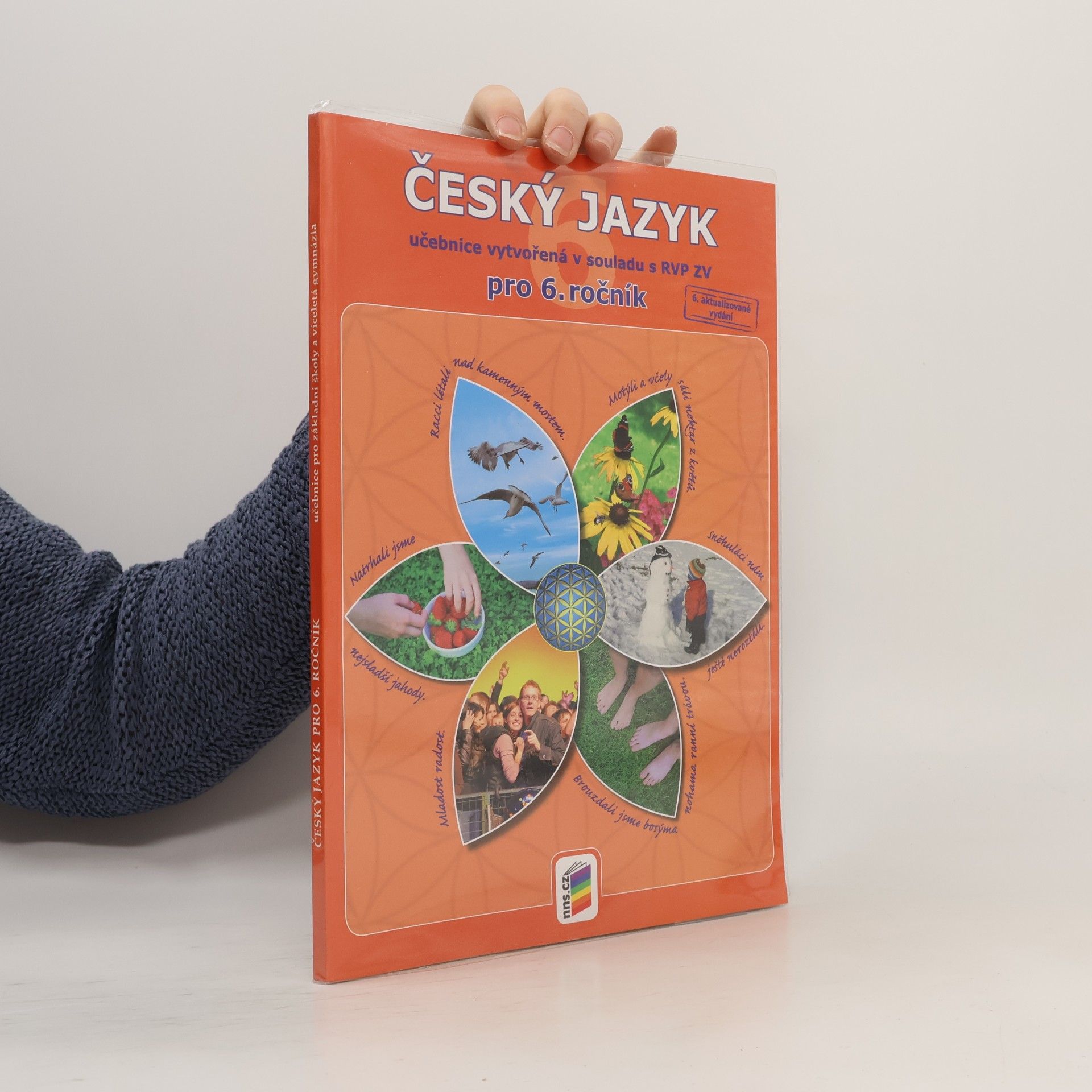 Various authors Český jazyk 6