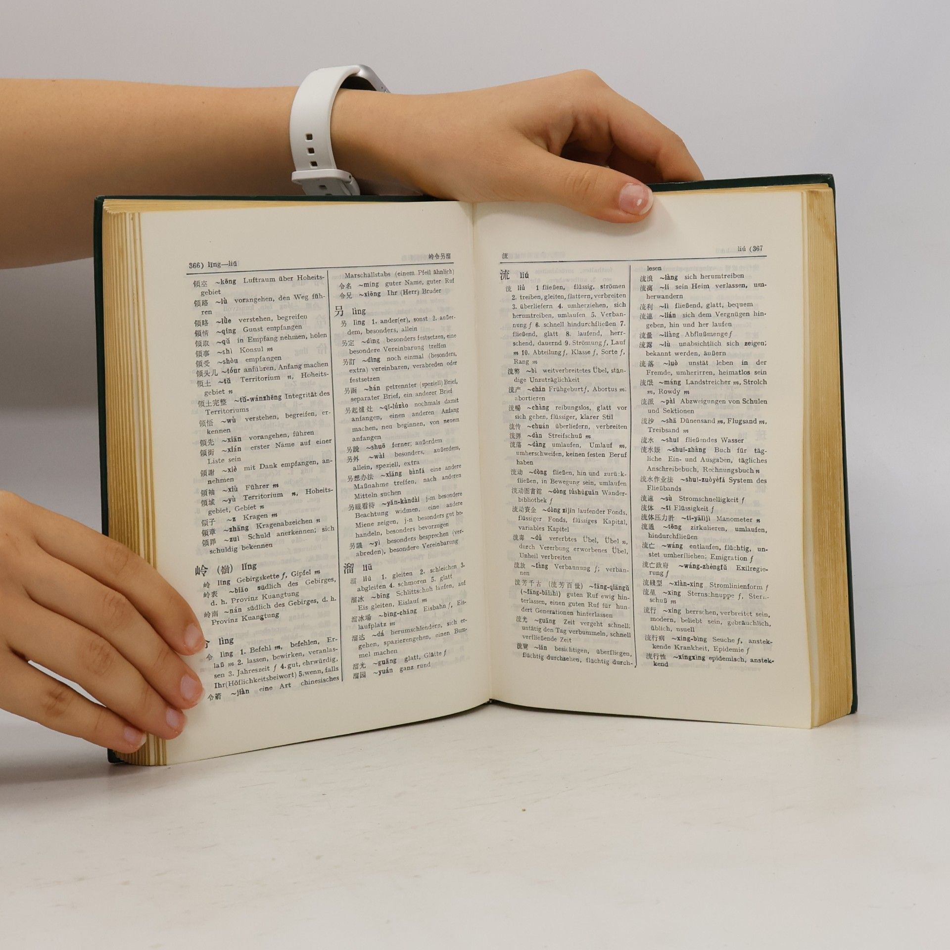 kolektiv 漢德詞典 Chinesisch-Deutsches Wörterbuch