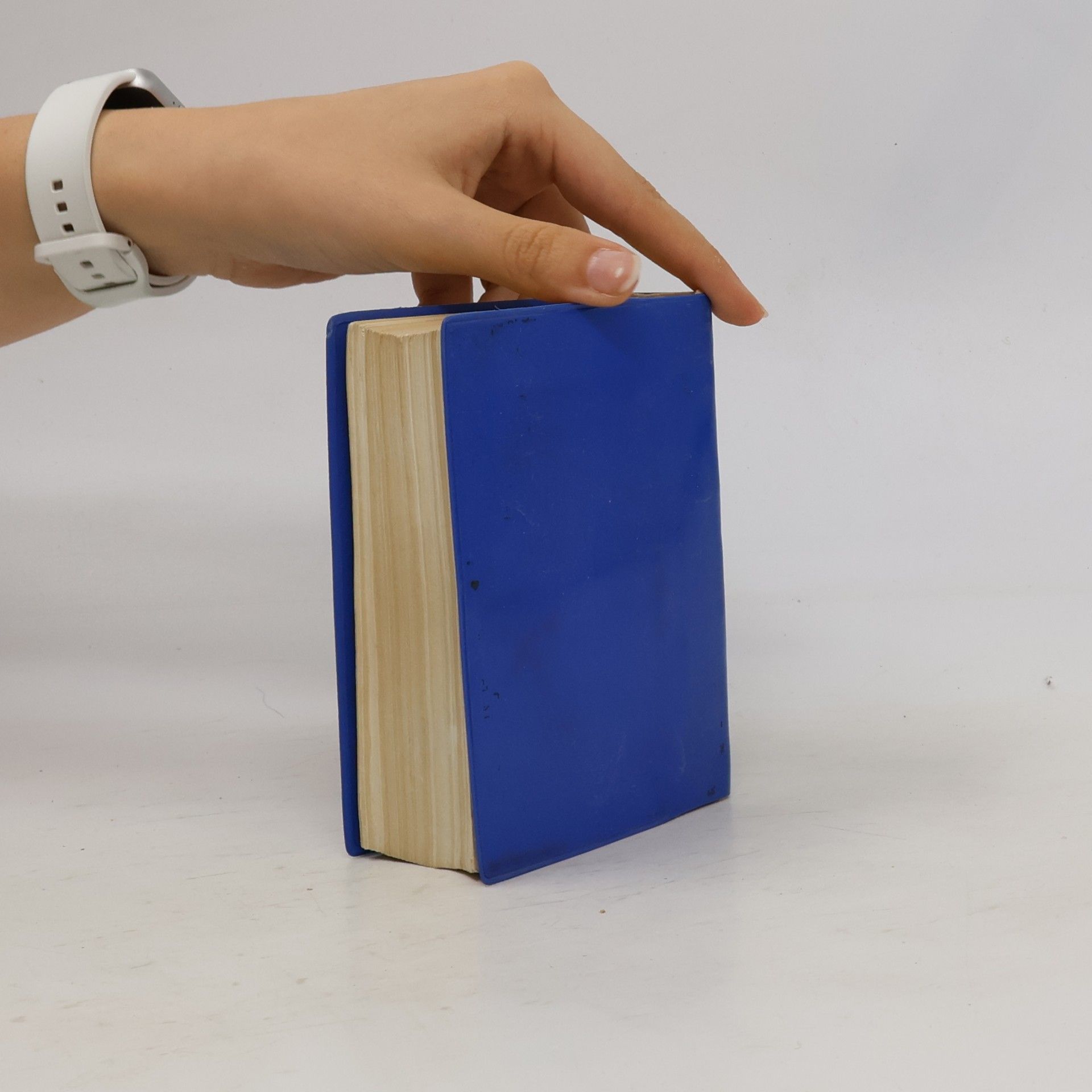 Autorenkollektiv 袖珍德汉词典. Deutsch-chinesisches Taschenwörterbuch