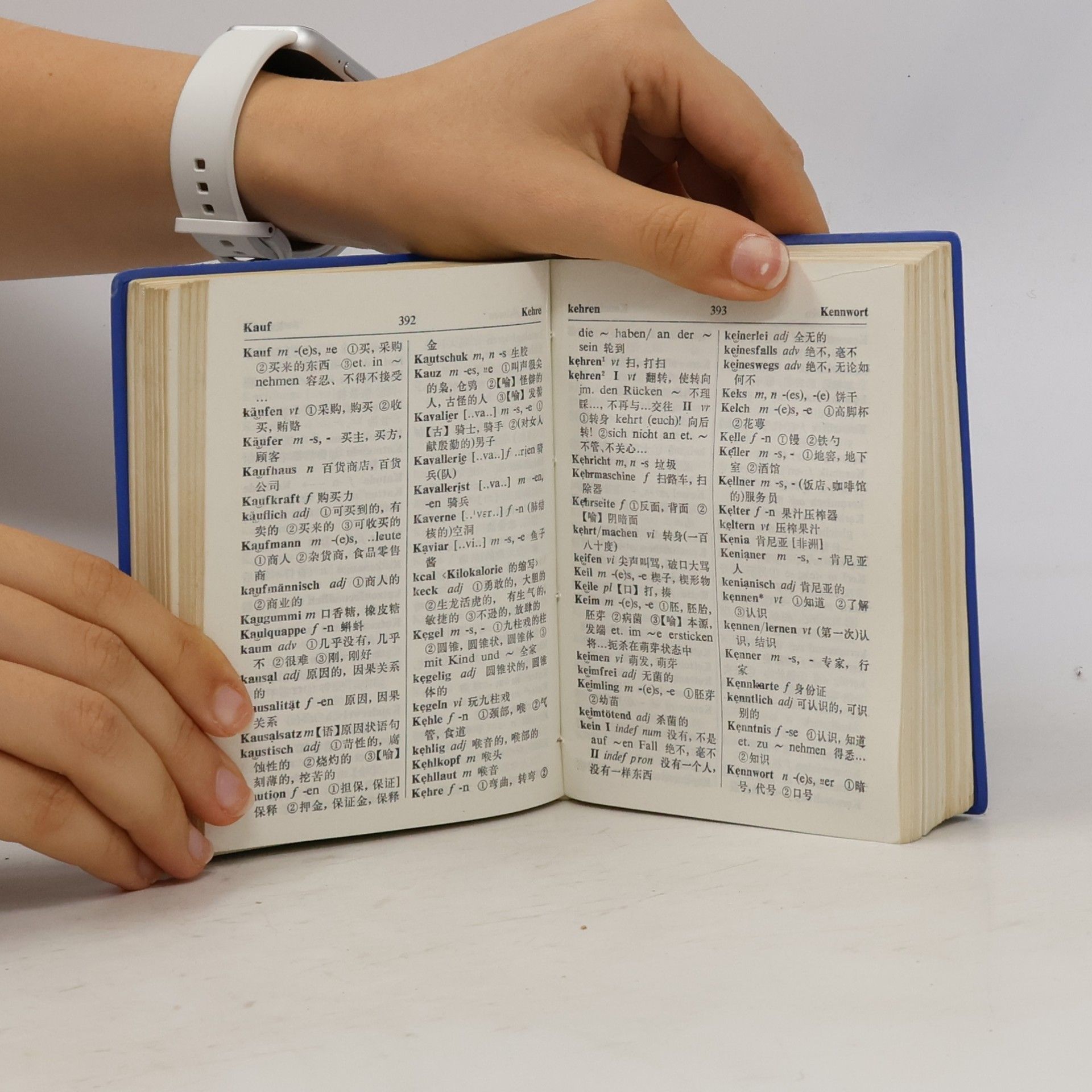 Autorenkollektiv 袖珍德汉词典. Deutsch-chinesisches Taschenwörterbuch