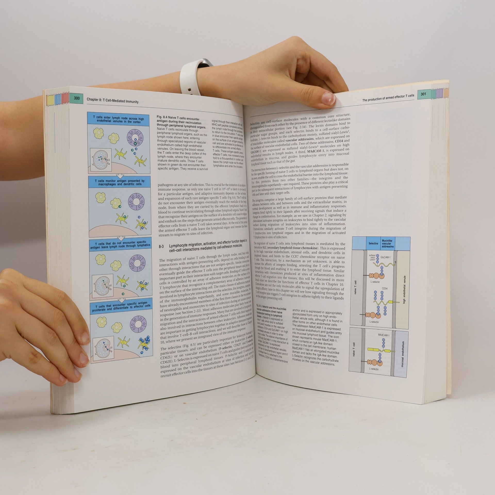 Charles Janeway Immunobiology International Student Edition - Fifth Edition