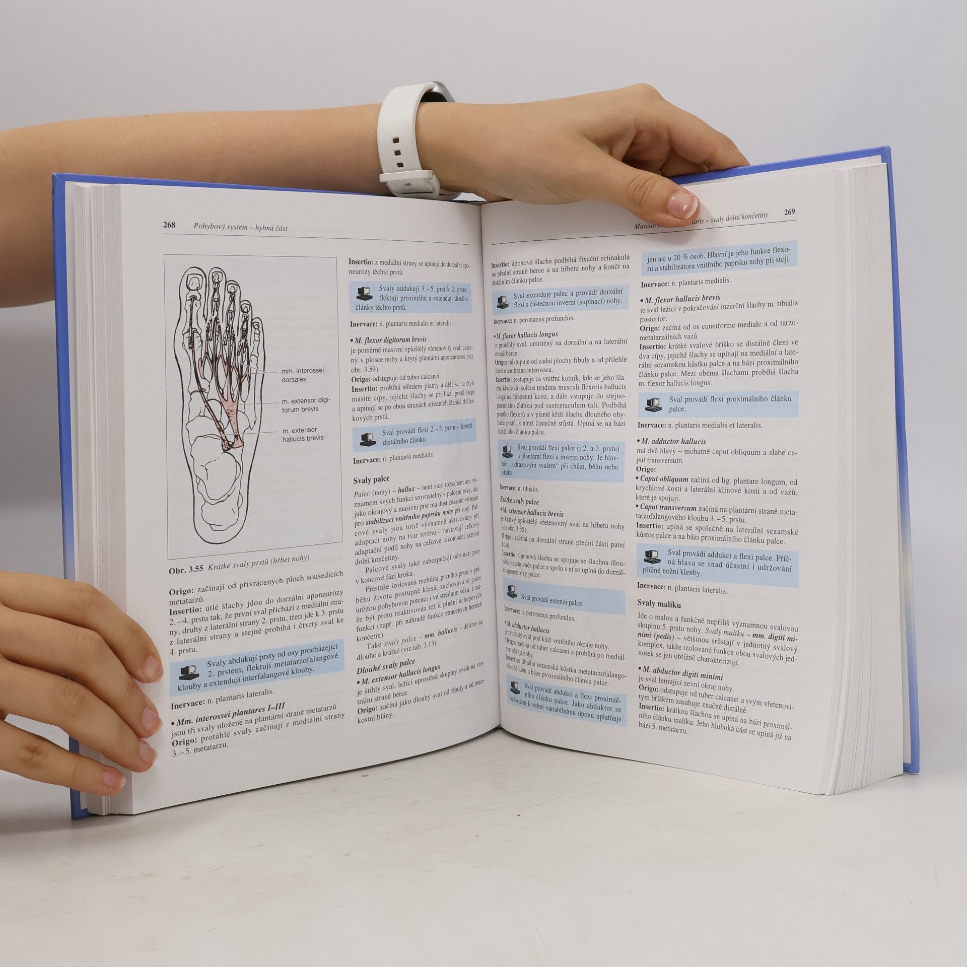 Ivan Dylevský Funkční anatomie člověka