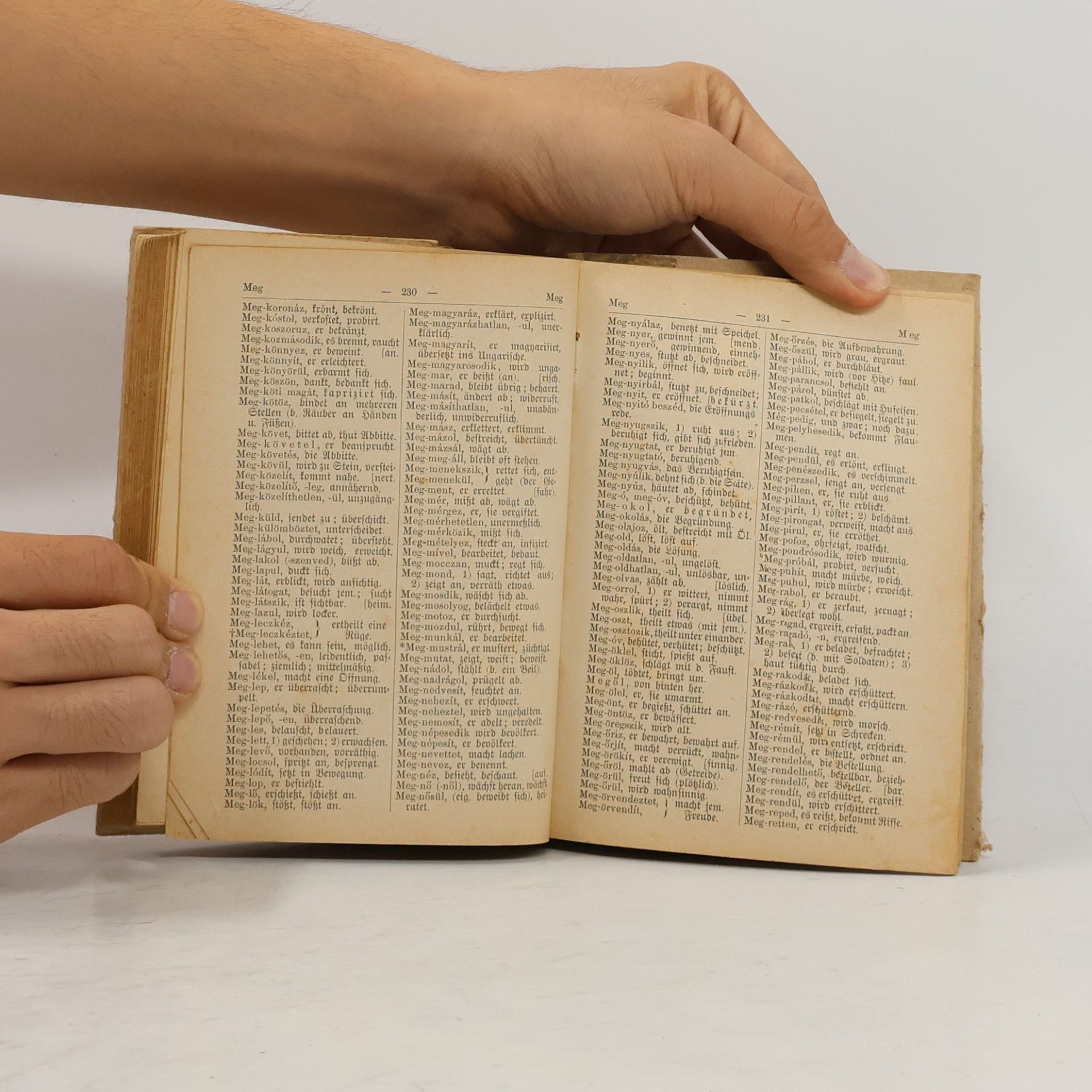 Ignaz Füredi Ungarisch-deutsches und Deutsch-ungarisches Taschen-Wörterbuch I.