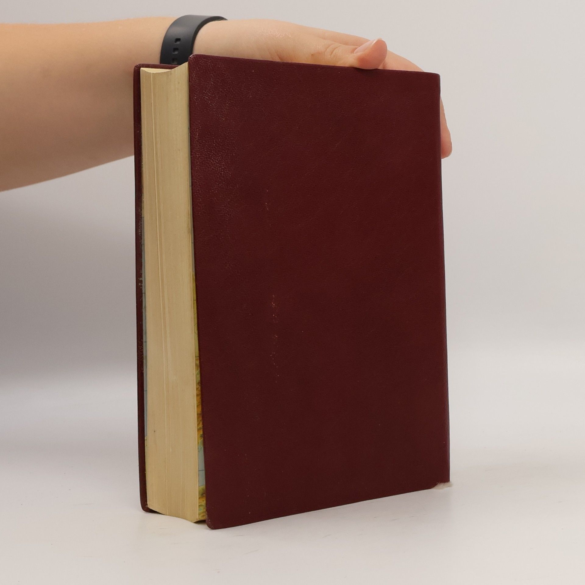 kolektiv Die Bibel