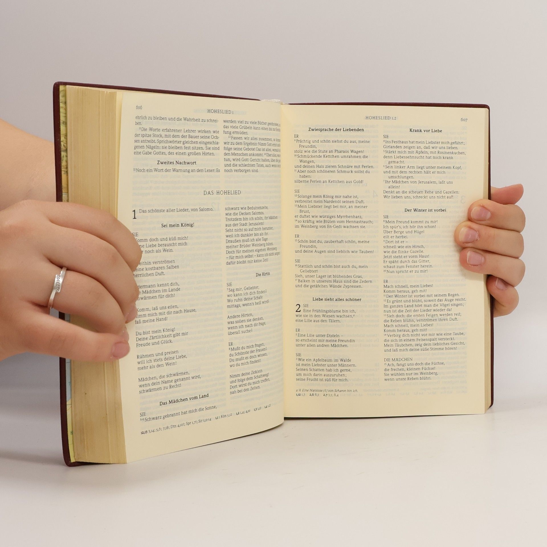 kolektiv Die Bibel