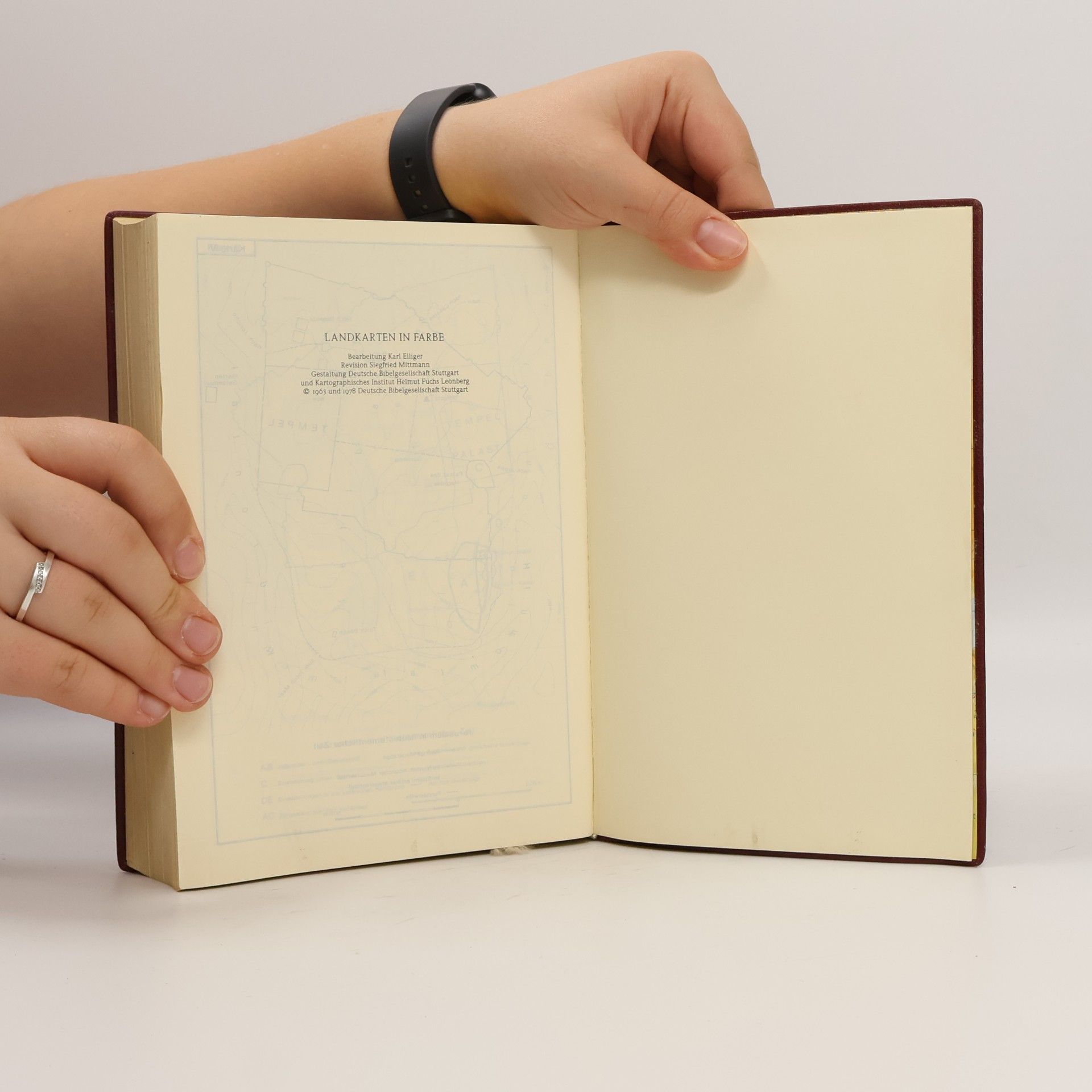 kolektiv Die Bibel
