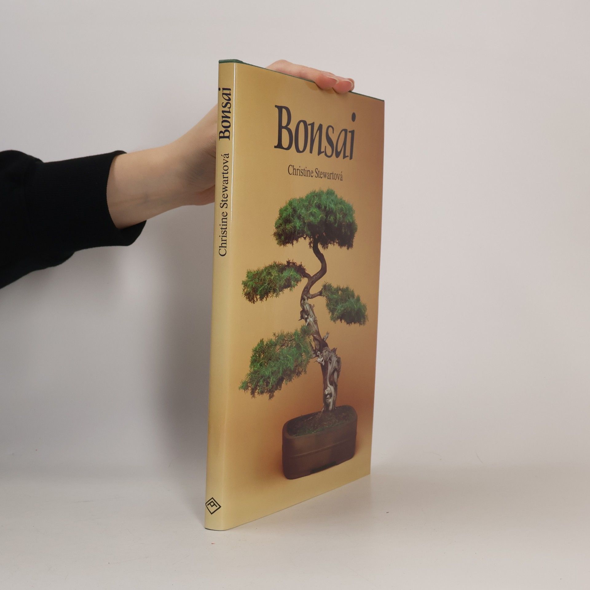Christine Stewart Bonsai