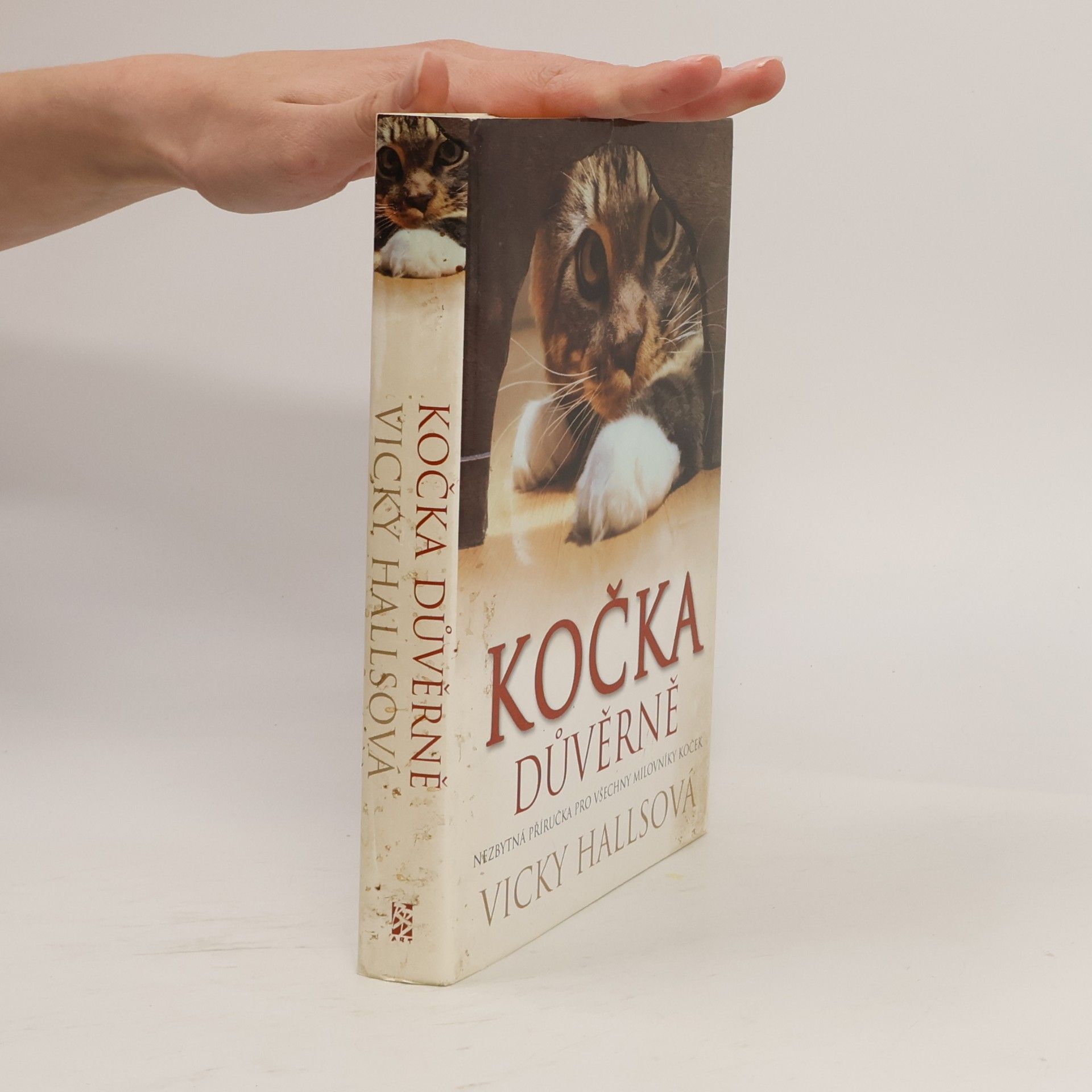 Kočka důvěrně
