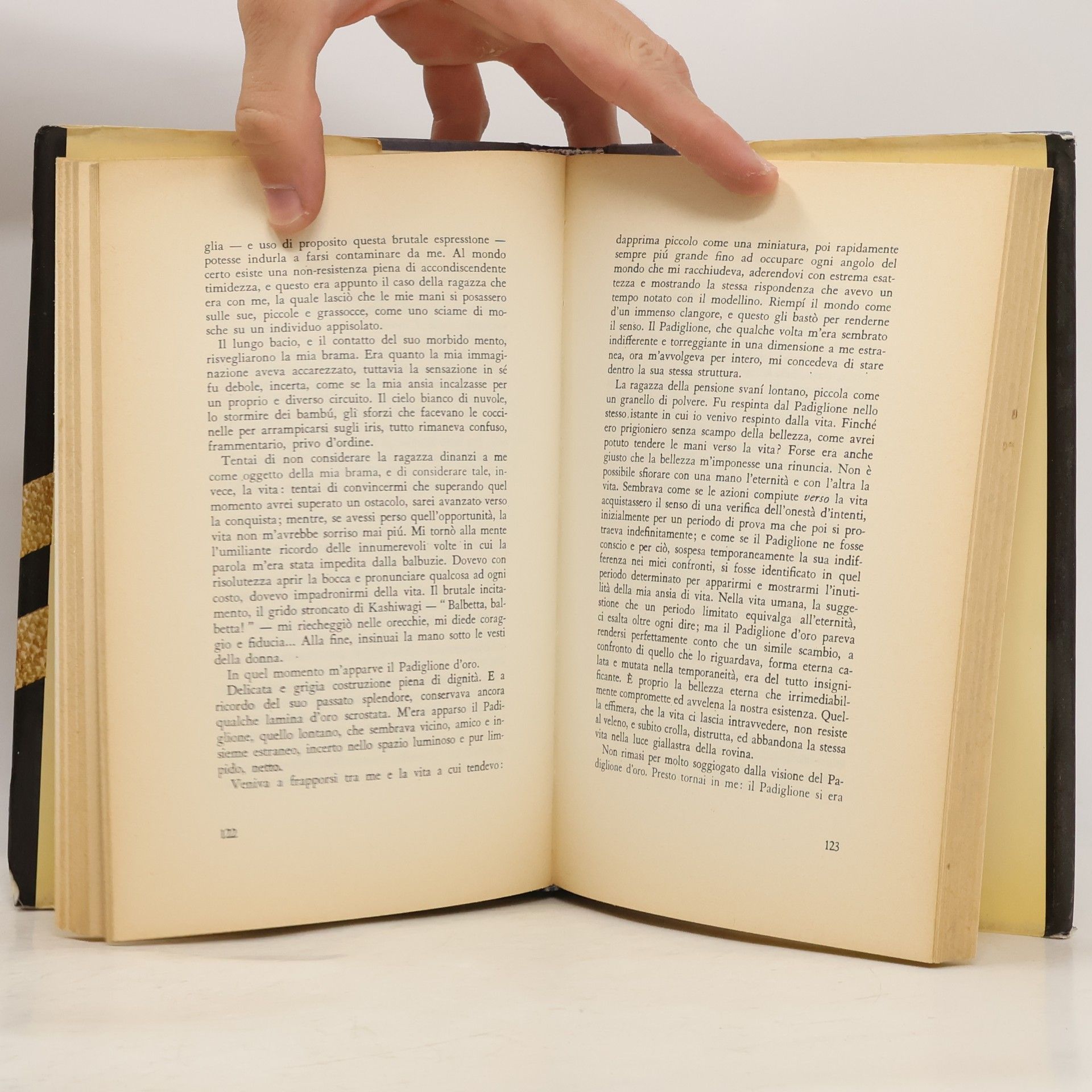 Yukio Mishima Il padiglione d'oro