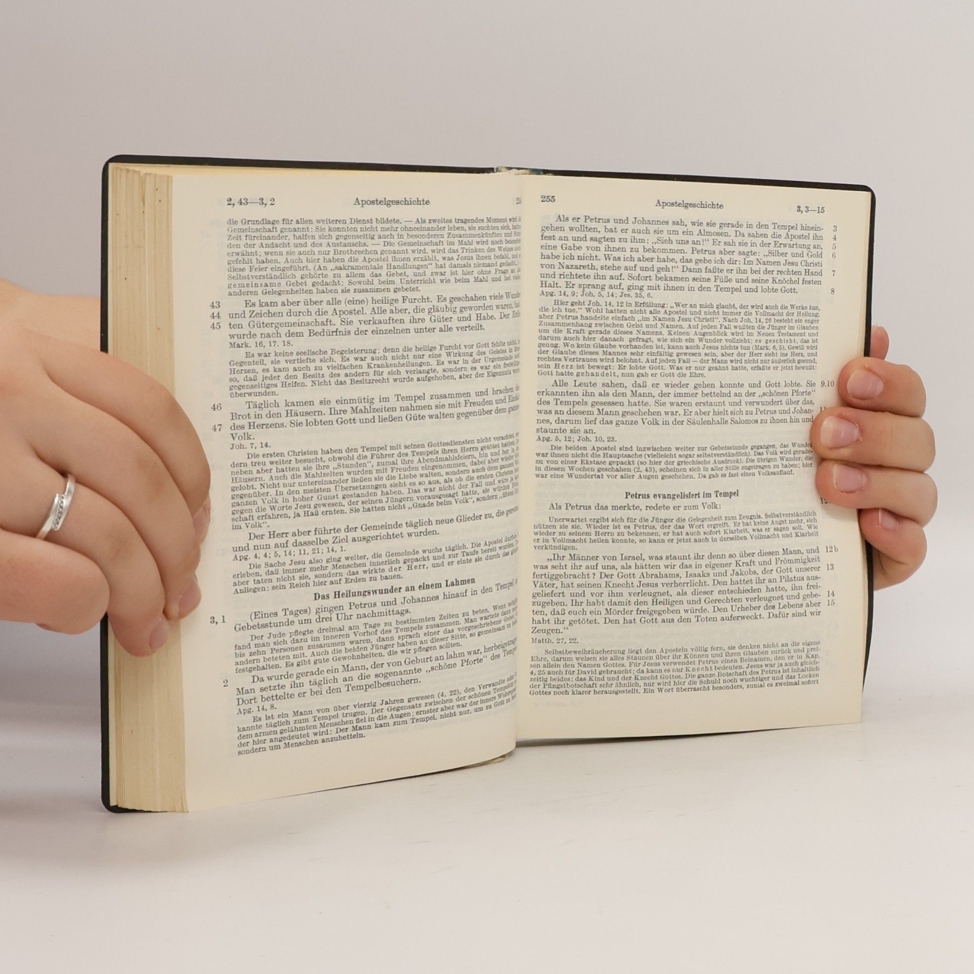 Hans Bruns Das Neue Testament. Psalmen