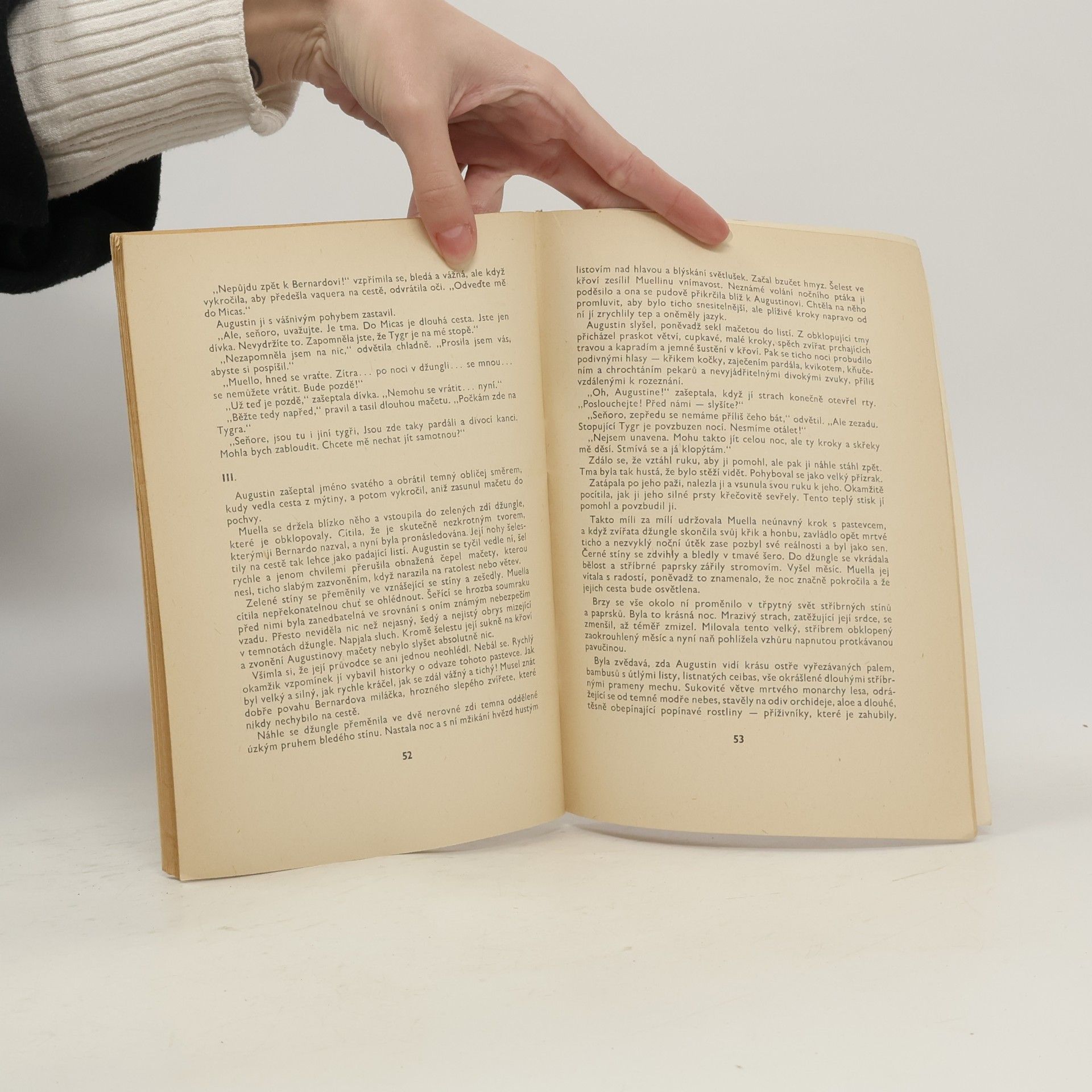 Zane Grey Hrdý Yaqui a jiné povídky
