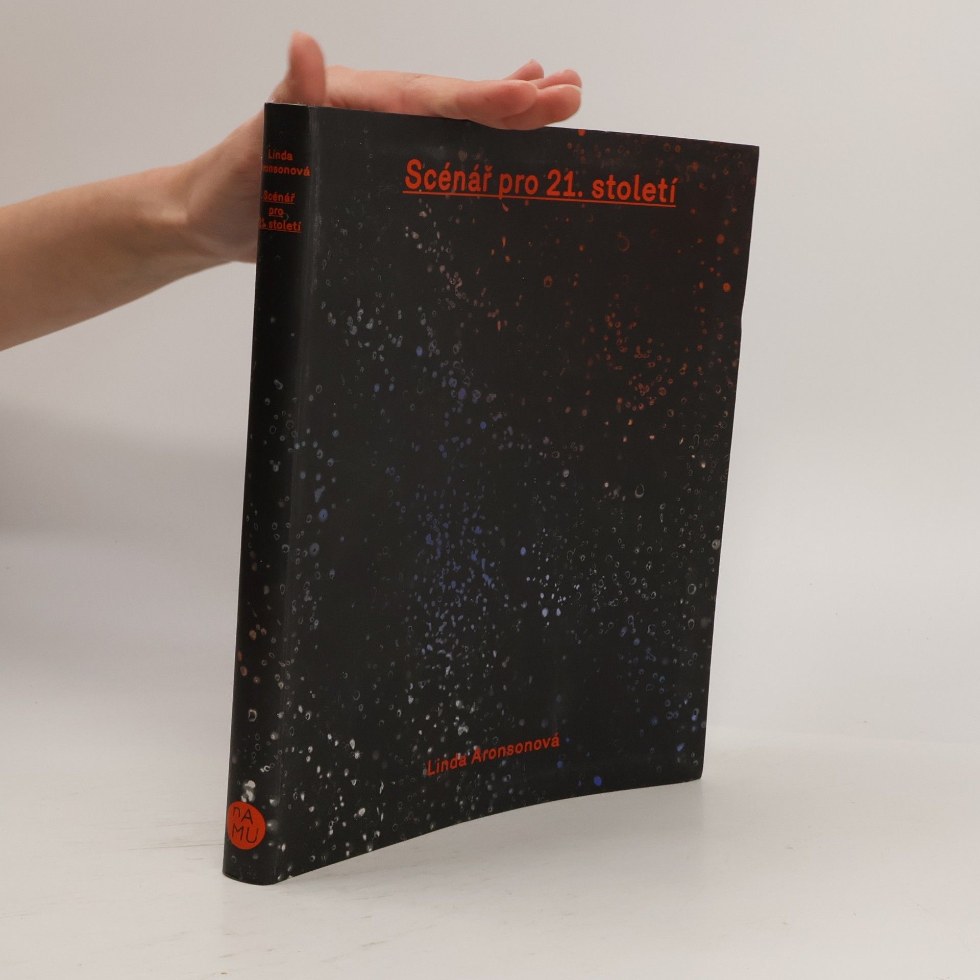 Linda Aronson Scénář pro 21. století