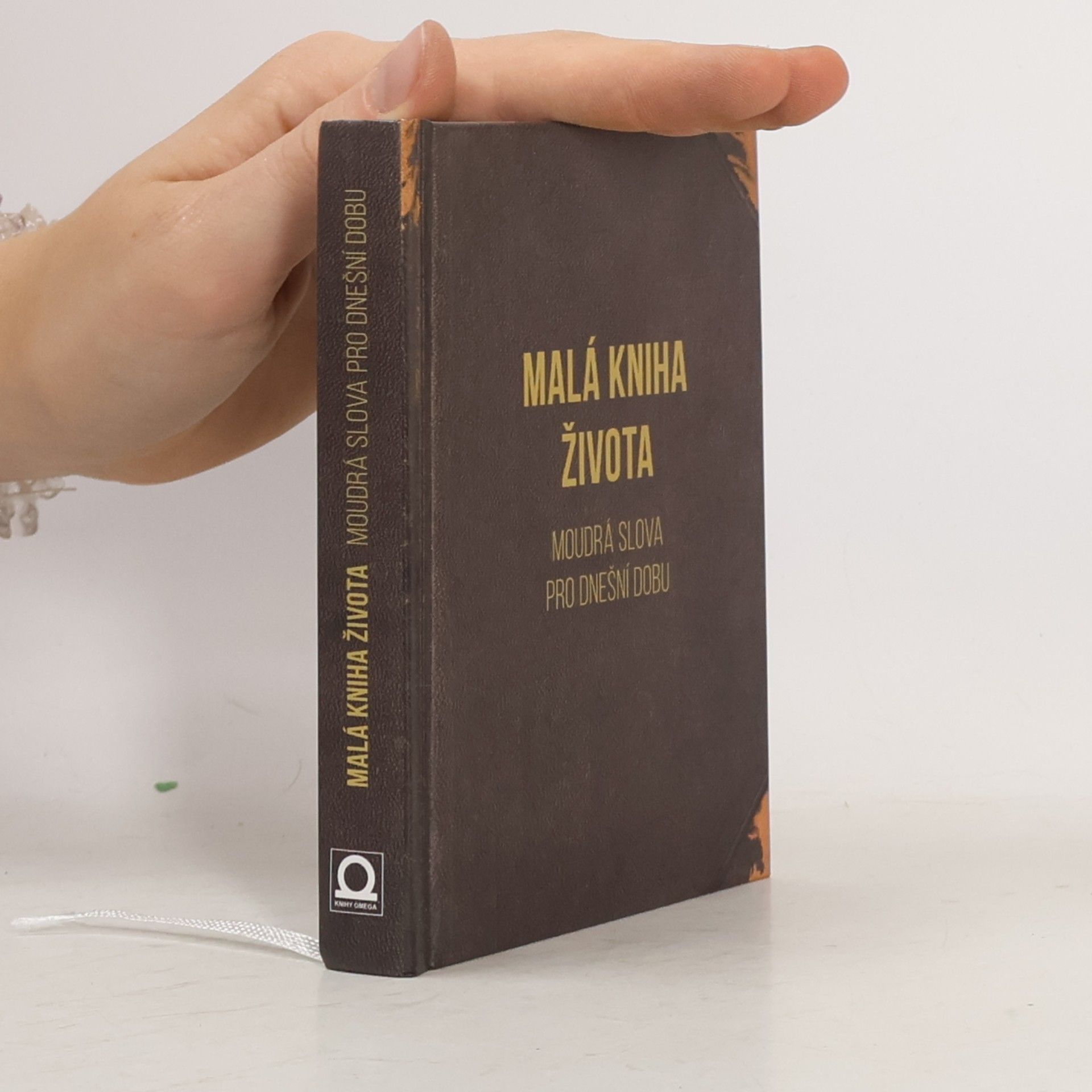 Kolektív autorov Malá kniha života - Moudrá slova pro dnešní dobu
