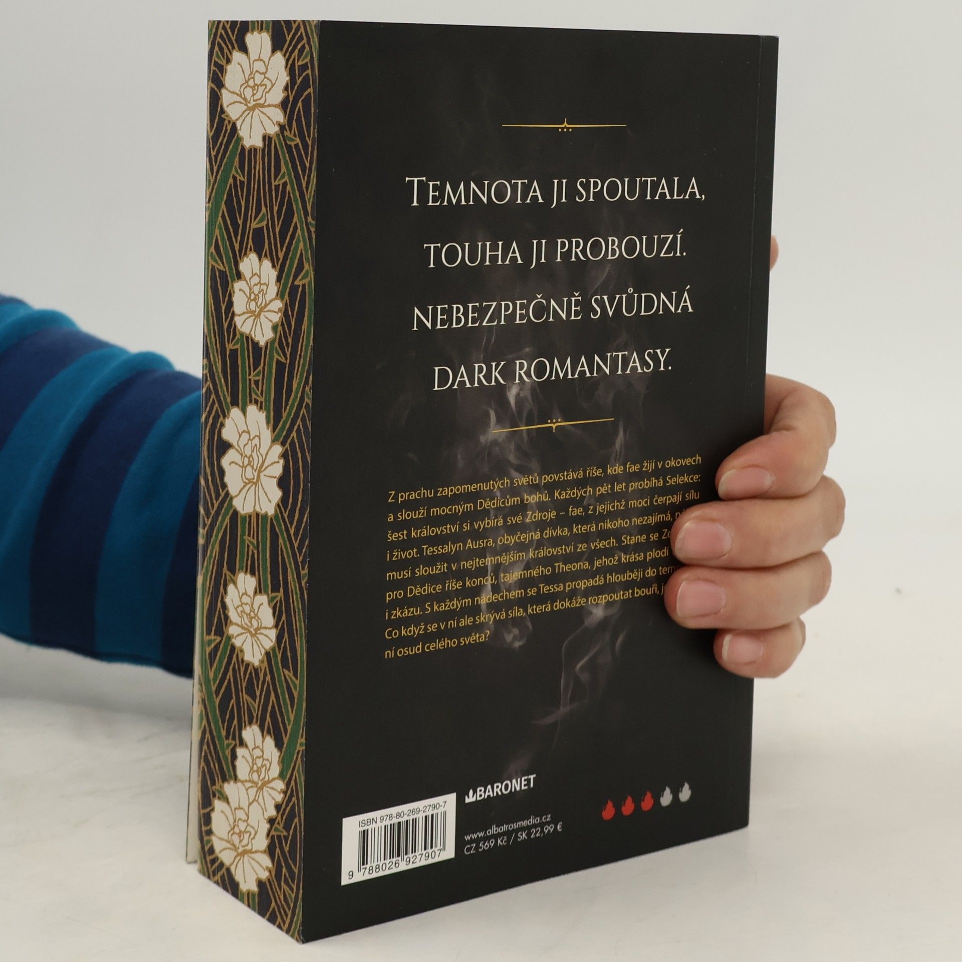 Melissa K. Roehrich Déšť stínů a konců