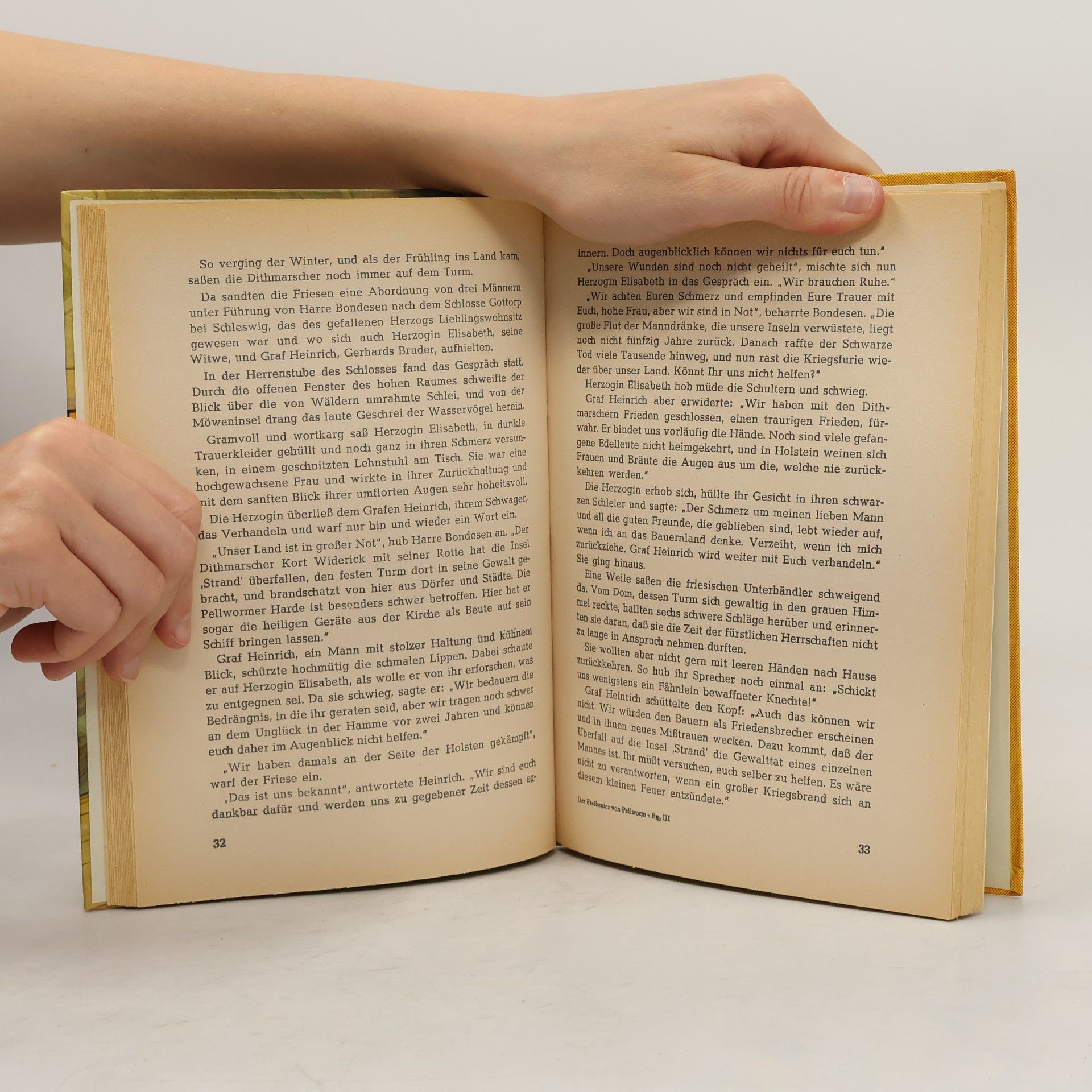 Autorenkollektiv Der Freibeuter von Pellworm
