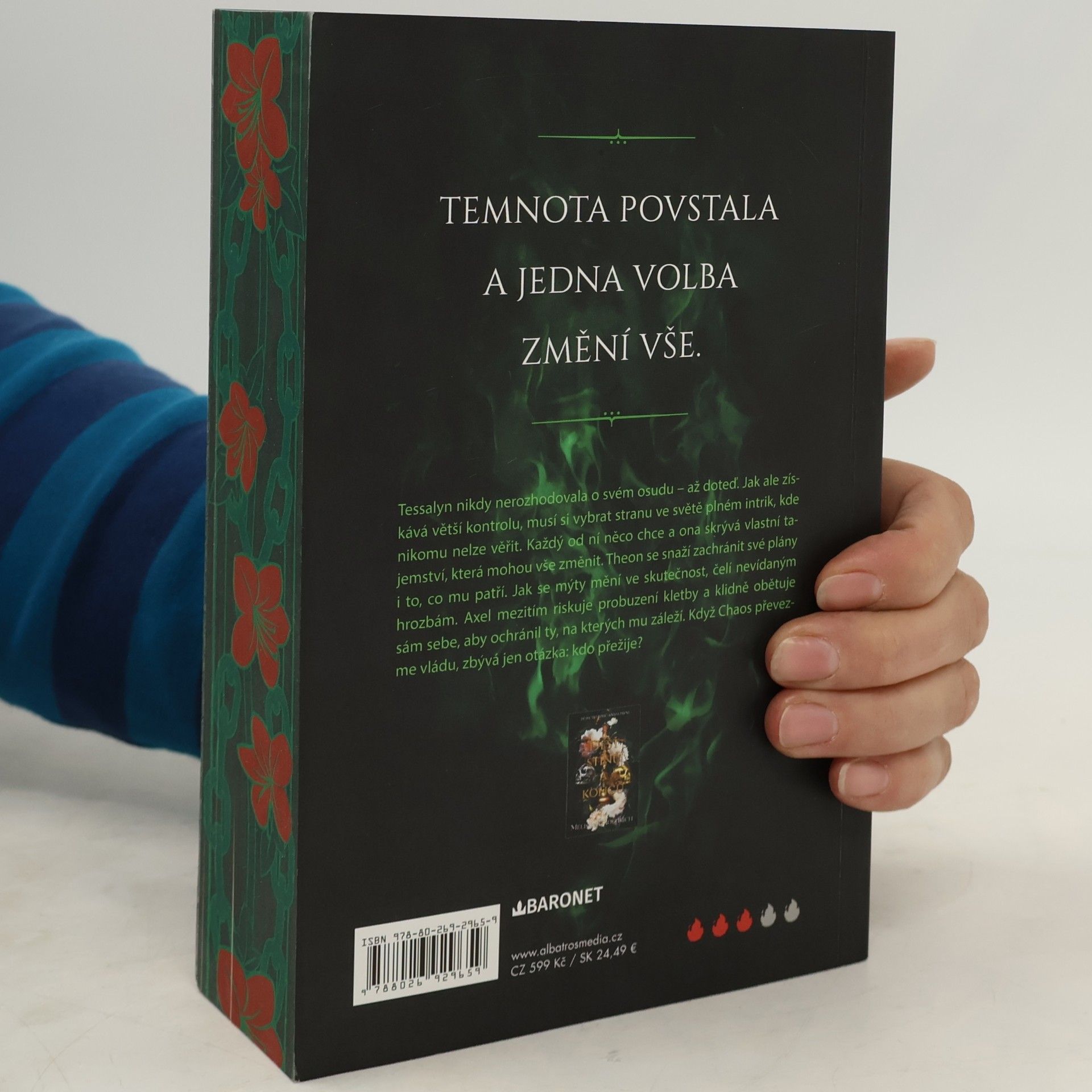 Melissa K. Roehrich Smršť tajemství a žalu