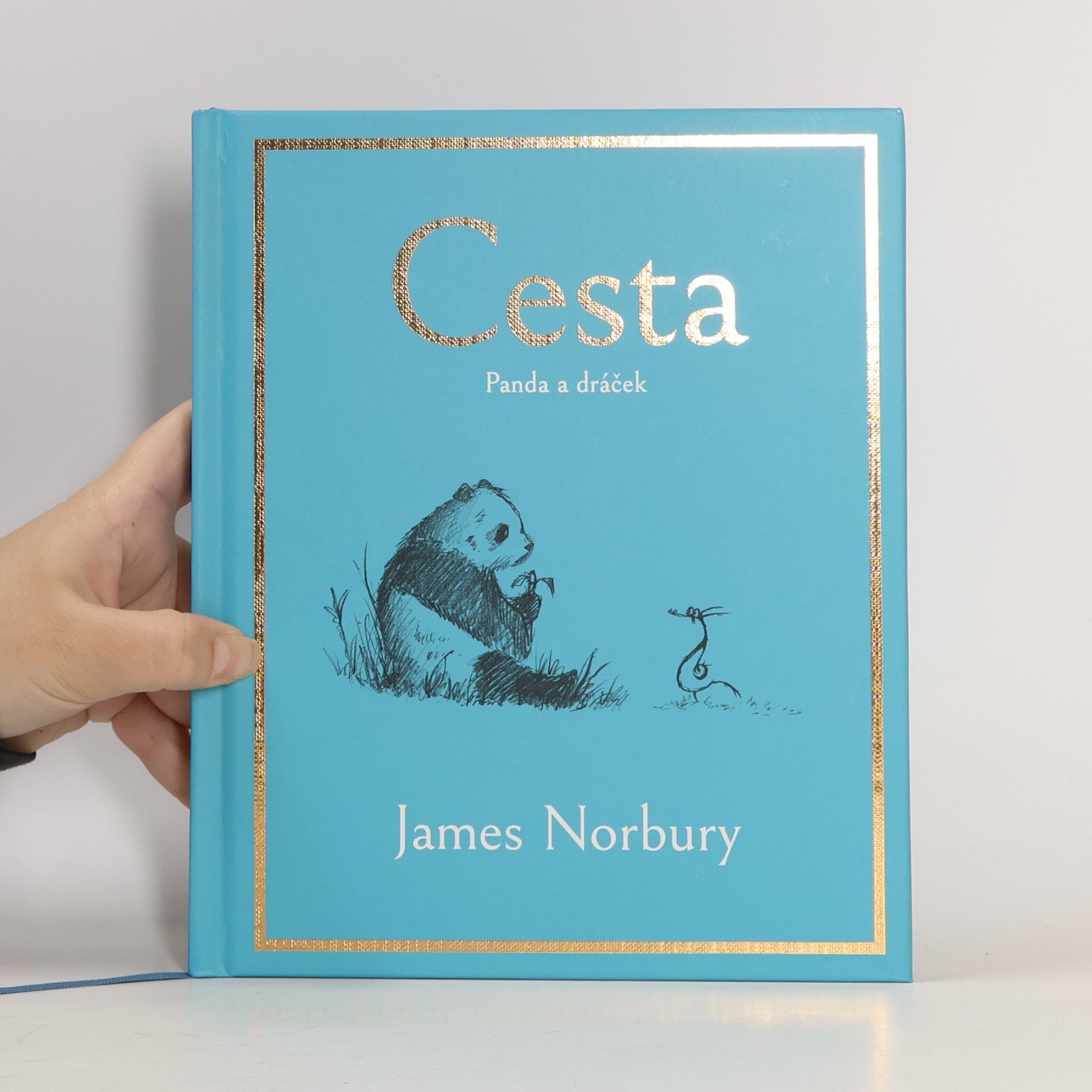 Cesta. Panda a dráček