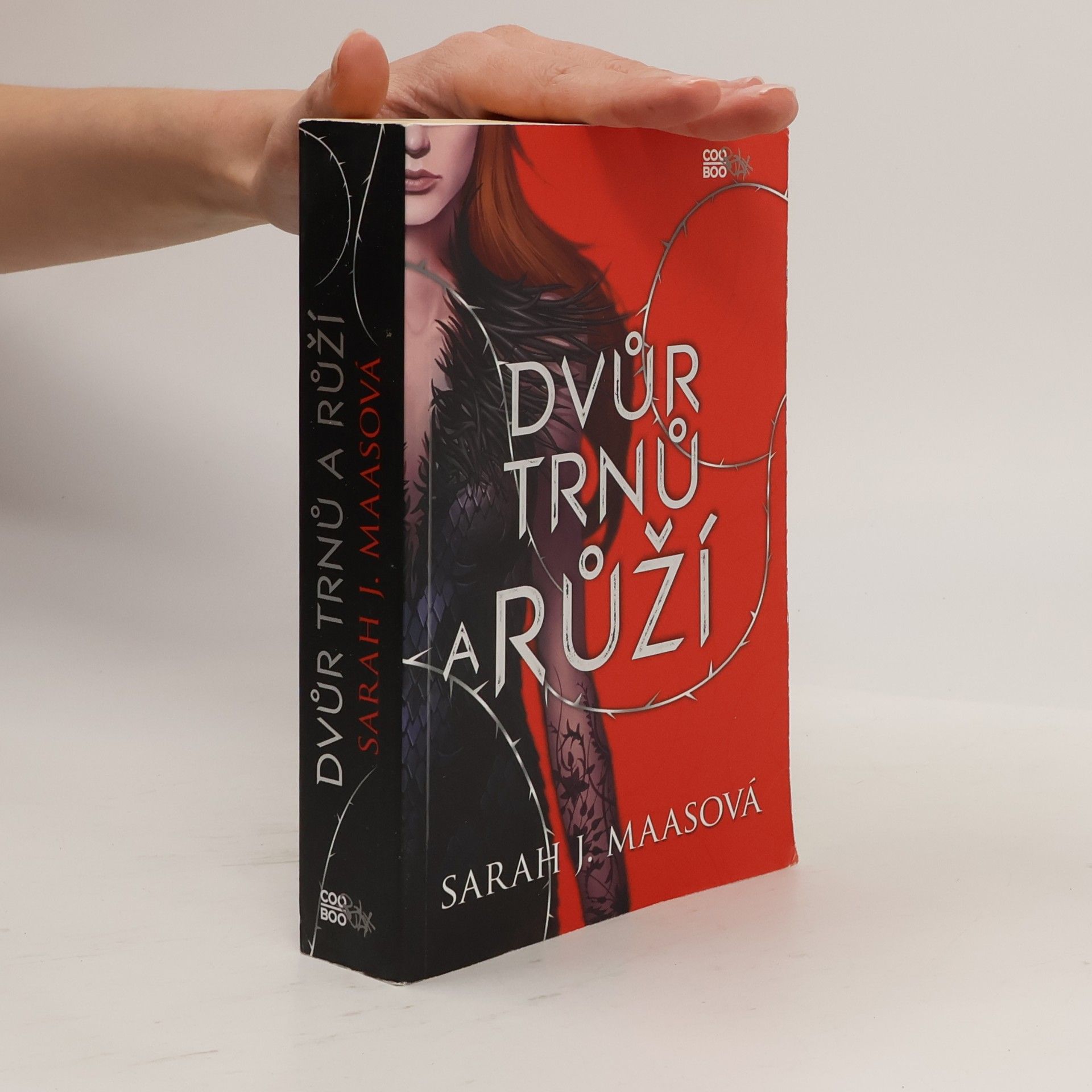 Sarah J. Maas Dvůr trnů a růží