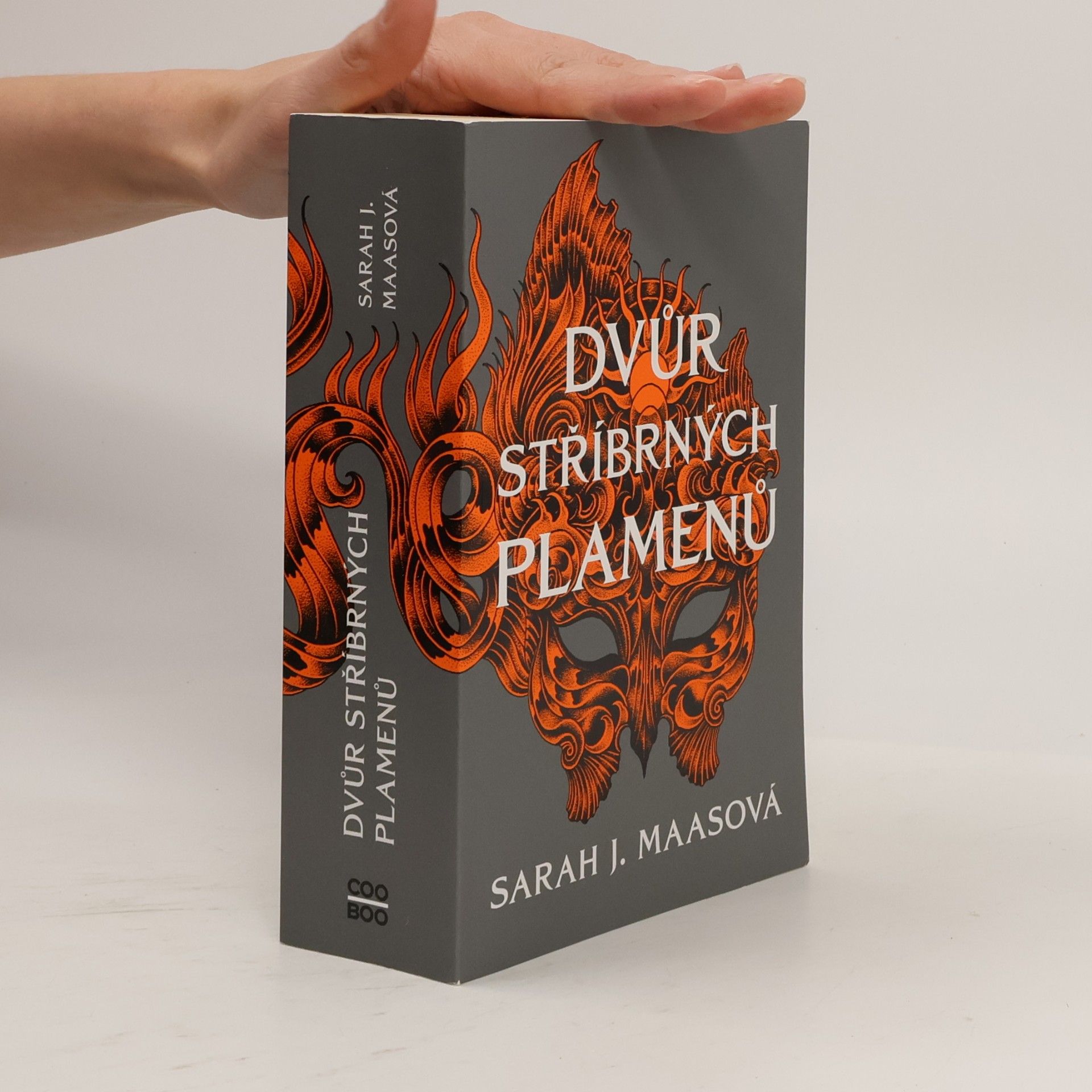 Sarah J. Maas Dvůr stříbrných plamenů