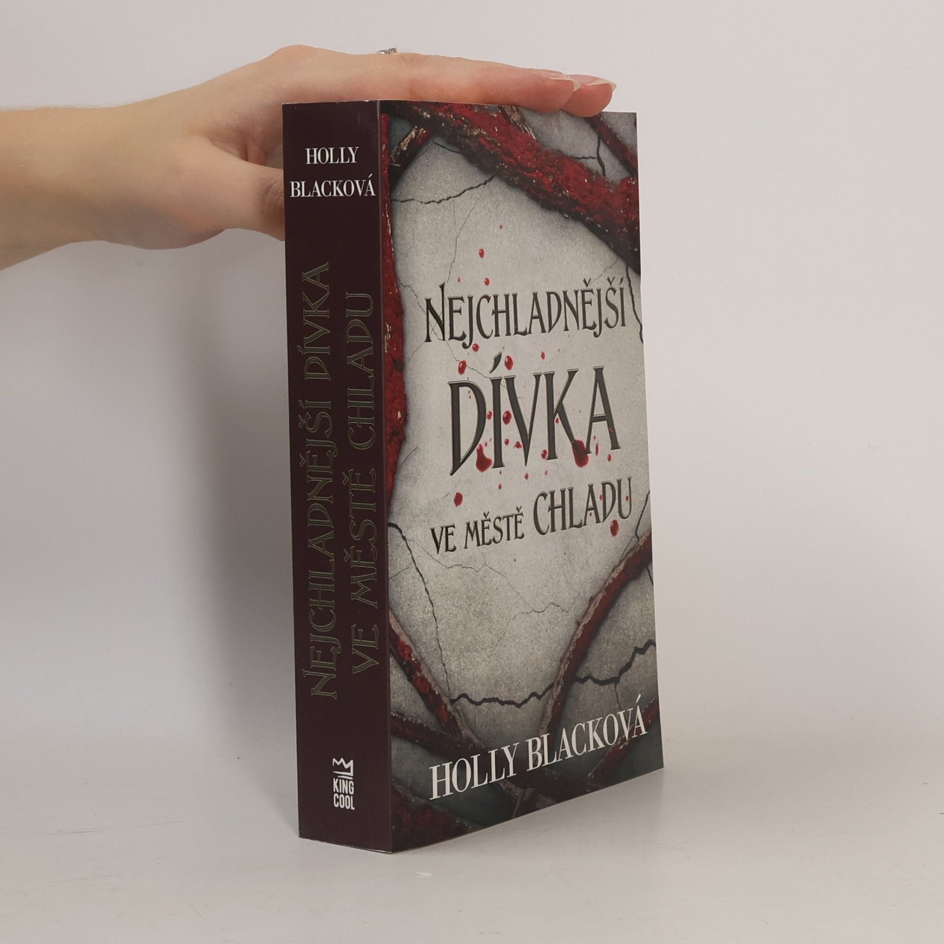 Holly Black Nejchladnější dívka ve městě chladu