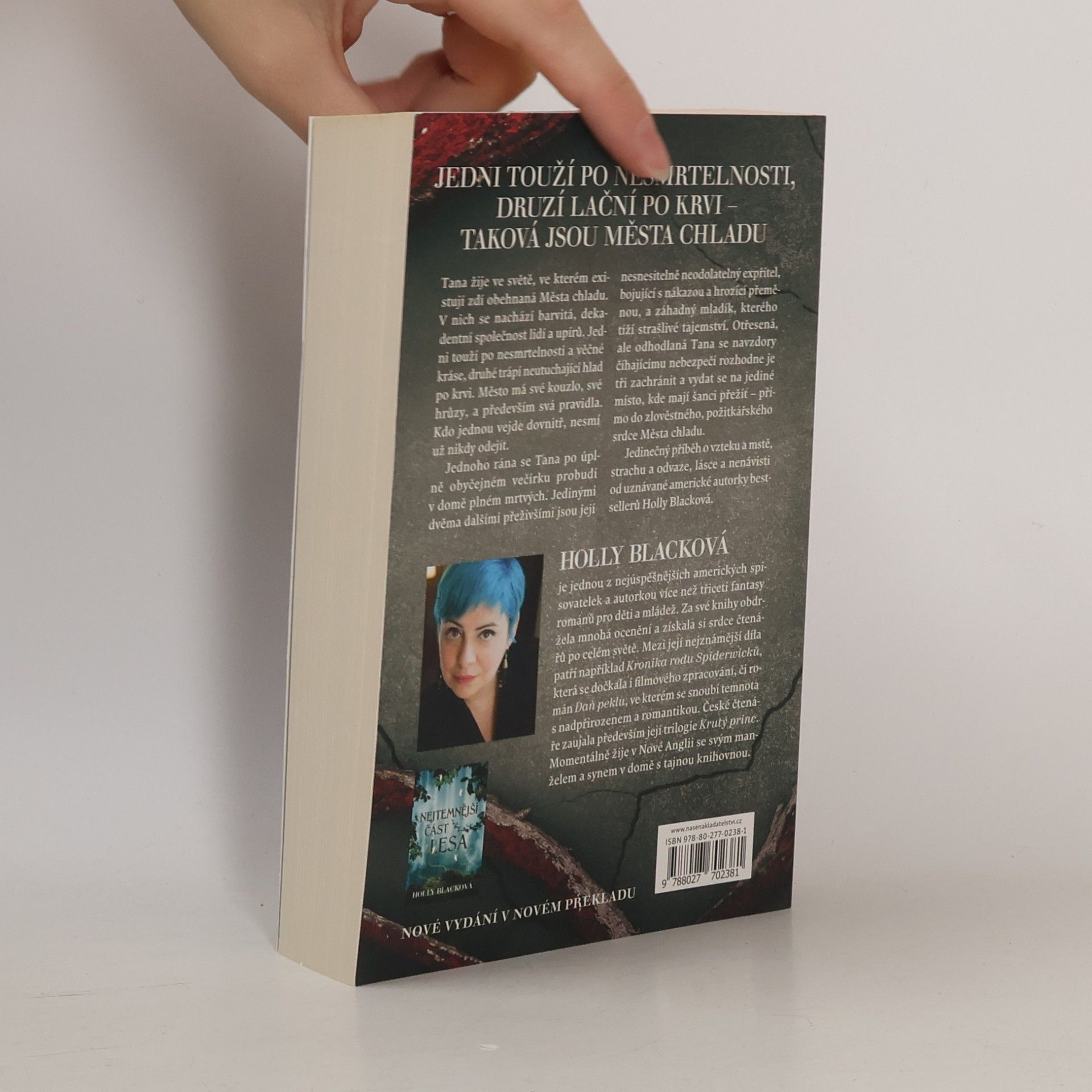 Holly Black Nejchladnější dívka ve městě chladu