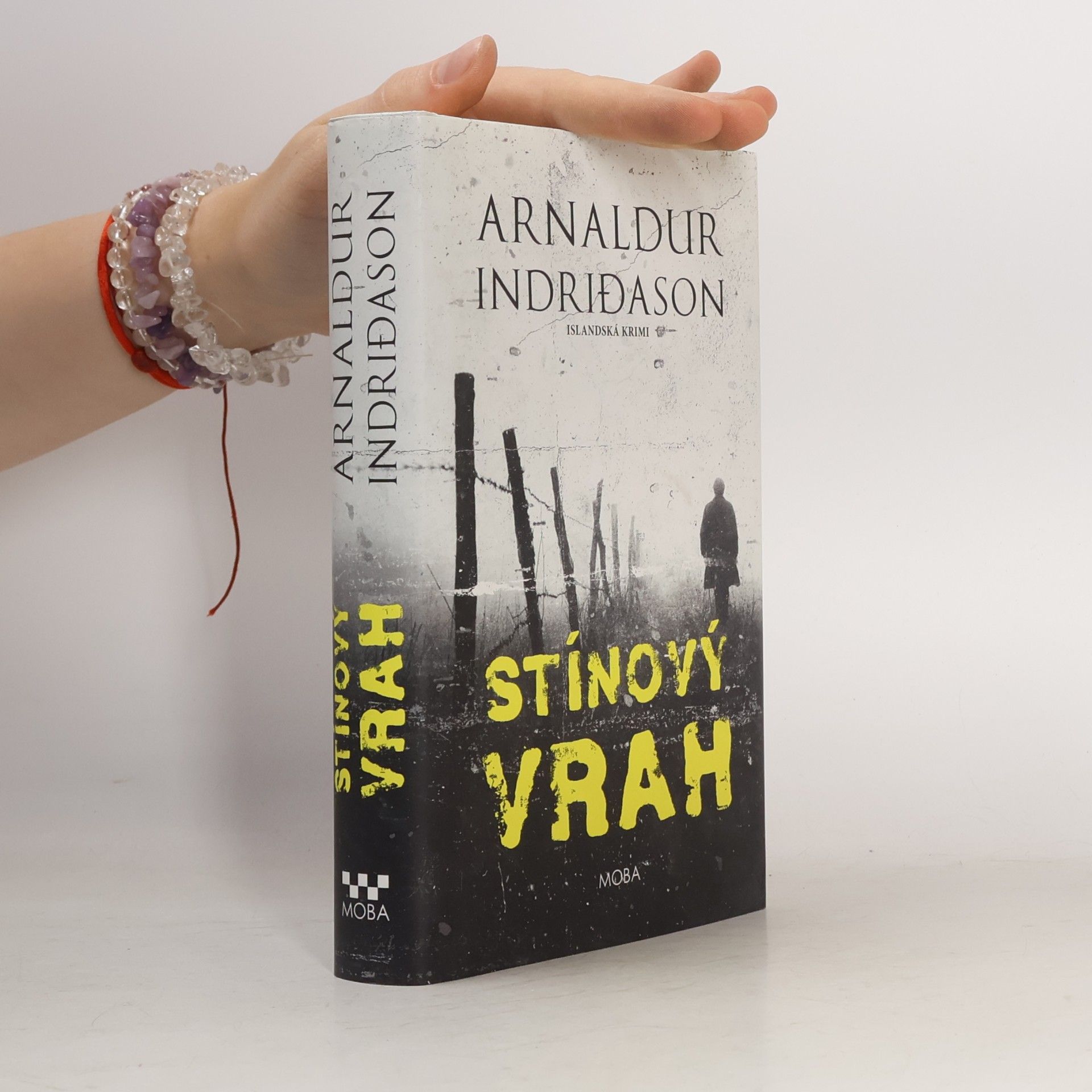 Arnaldur Indriðason Stínový vrah