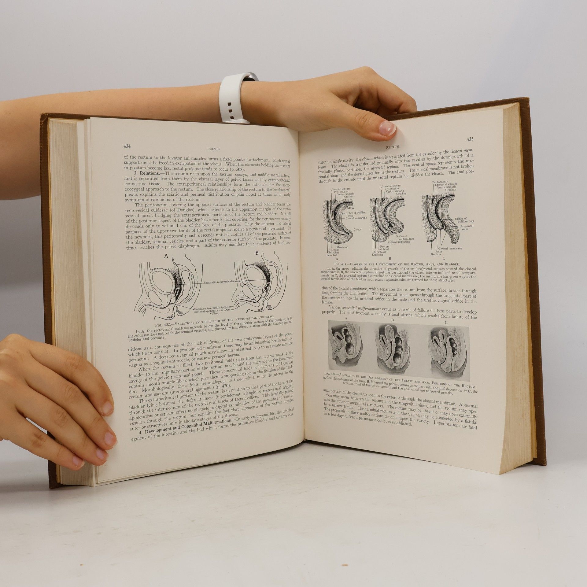 Callander Surgical Anatomy
