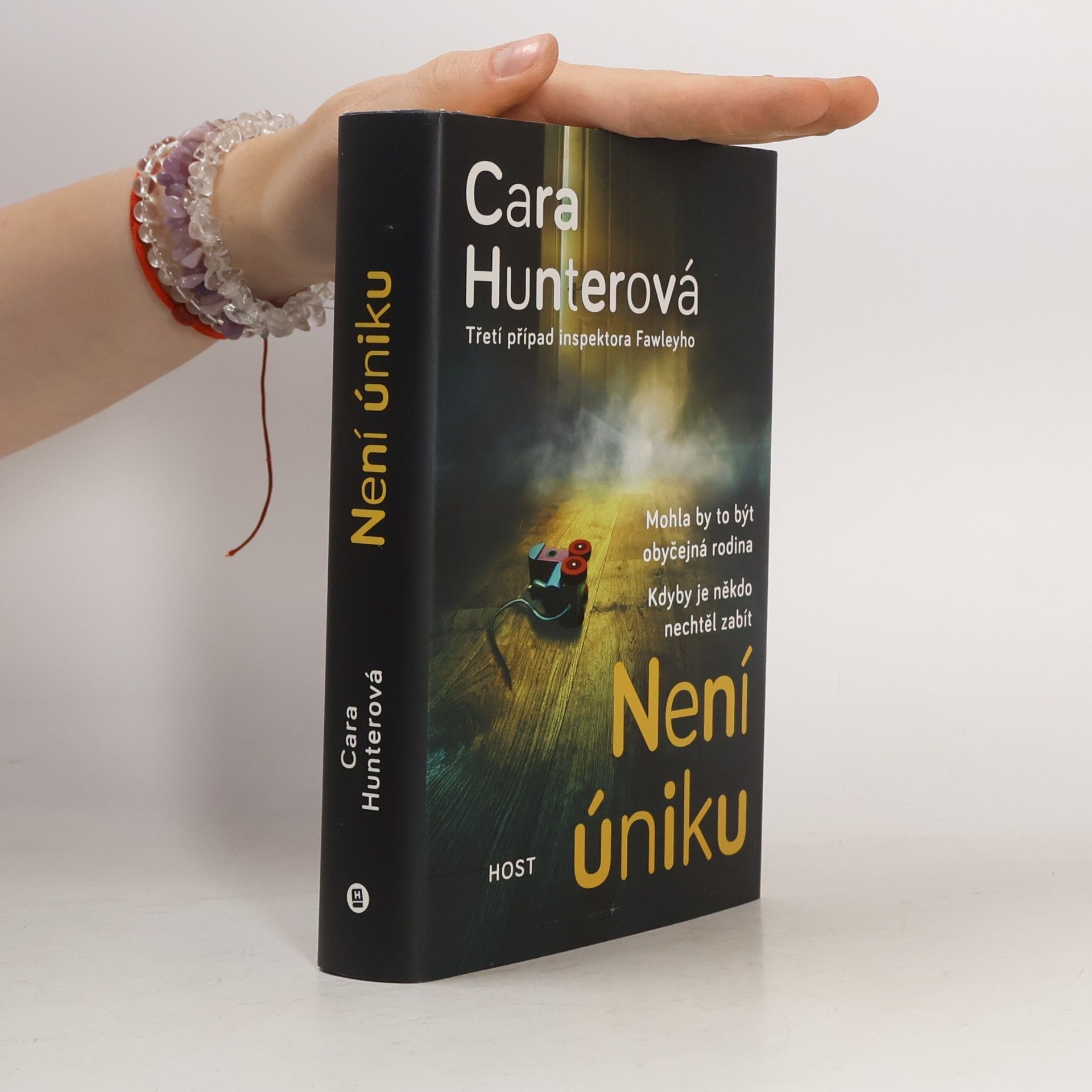 Cara Hunter Není úniku