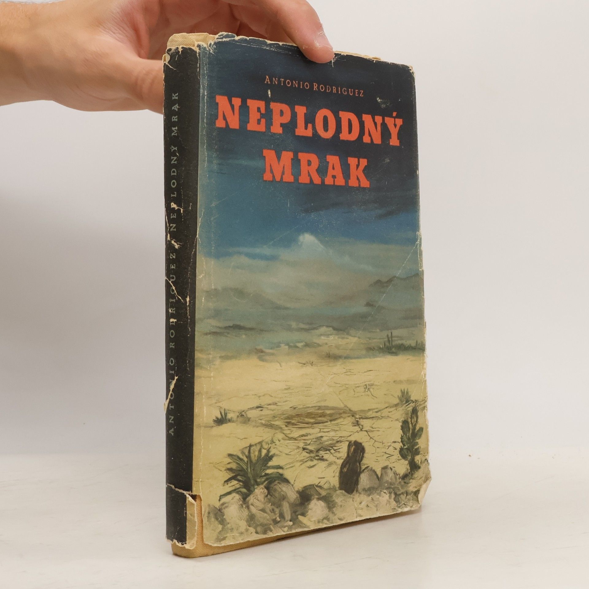 Neplodný mrak