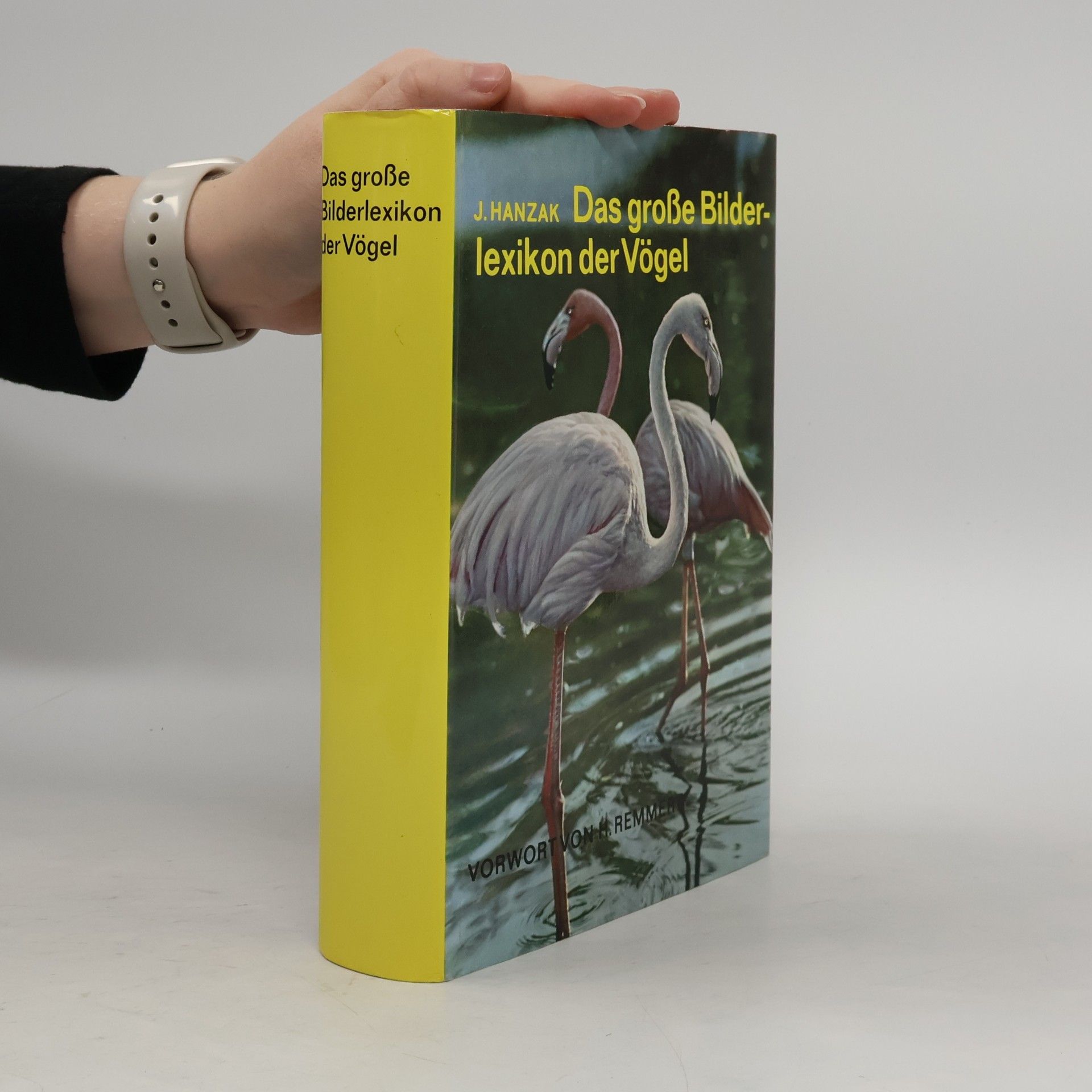J. Hanzák Das große Bilderlexikon der Vögel