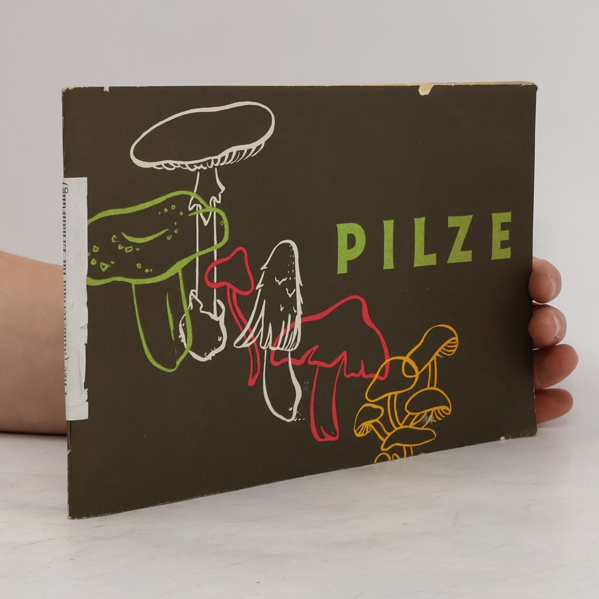 Autorenkollektiv Pilze