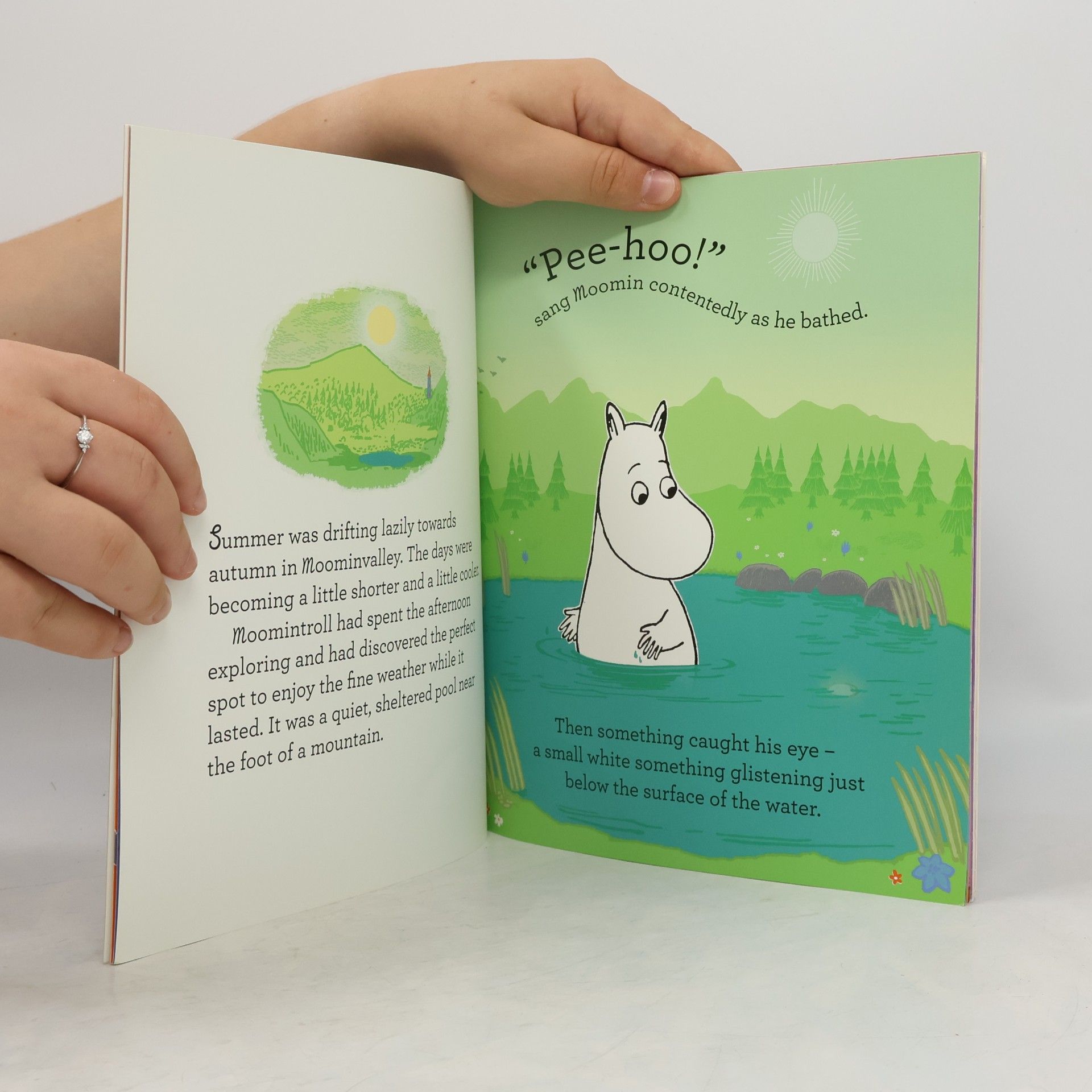 Tove Jansson Moomin and the wishing star