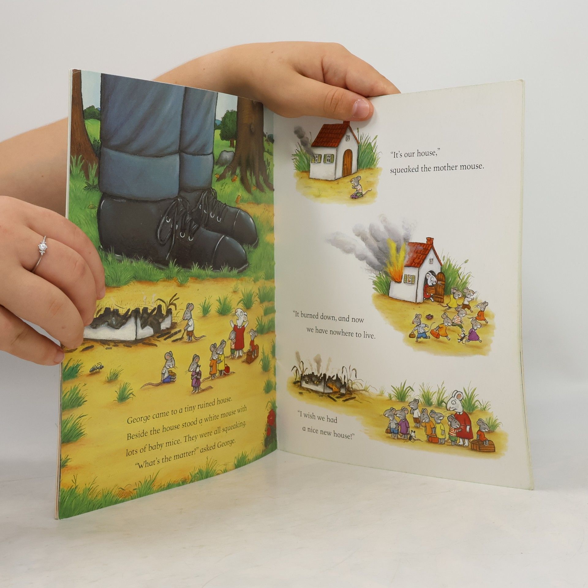Julia Donaldson The Smartest Giant in Town