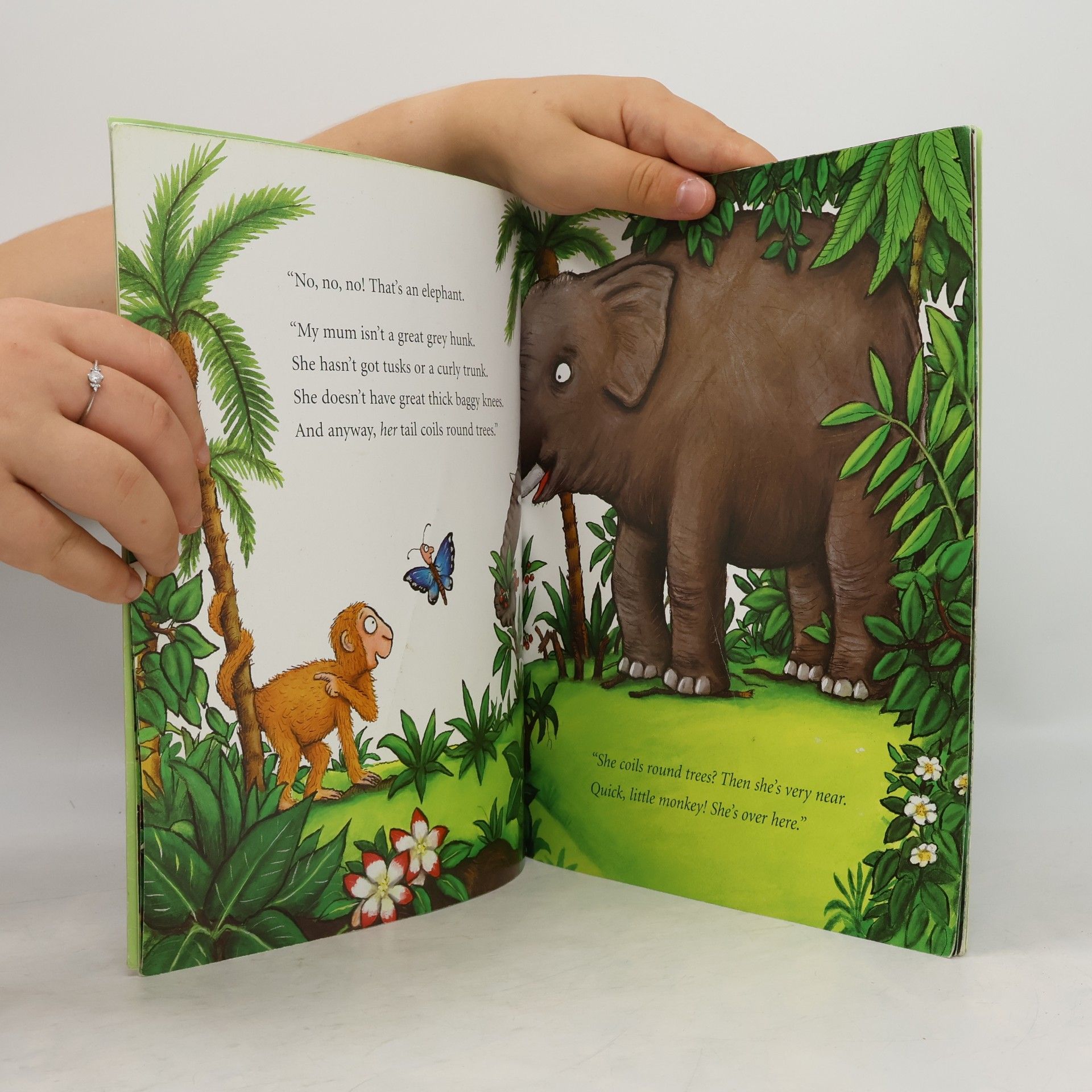 Axel Scheffler Monkey puzzle