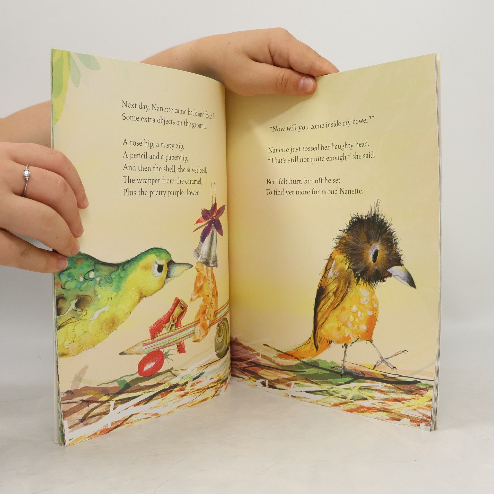 Julia Donaldson The Bowerbird