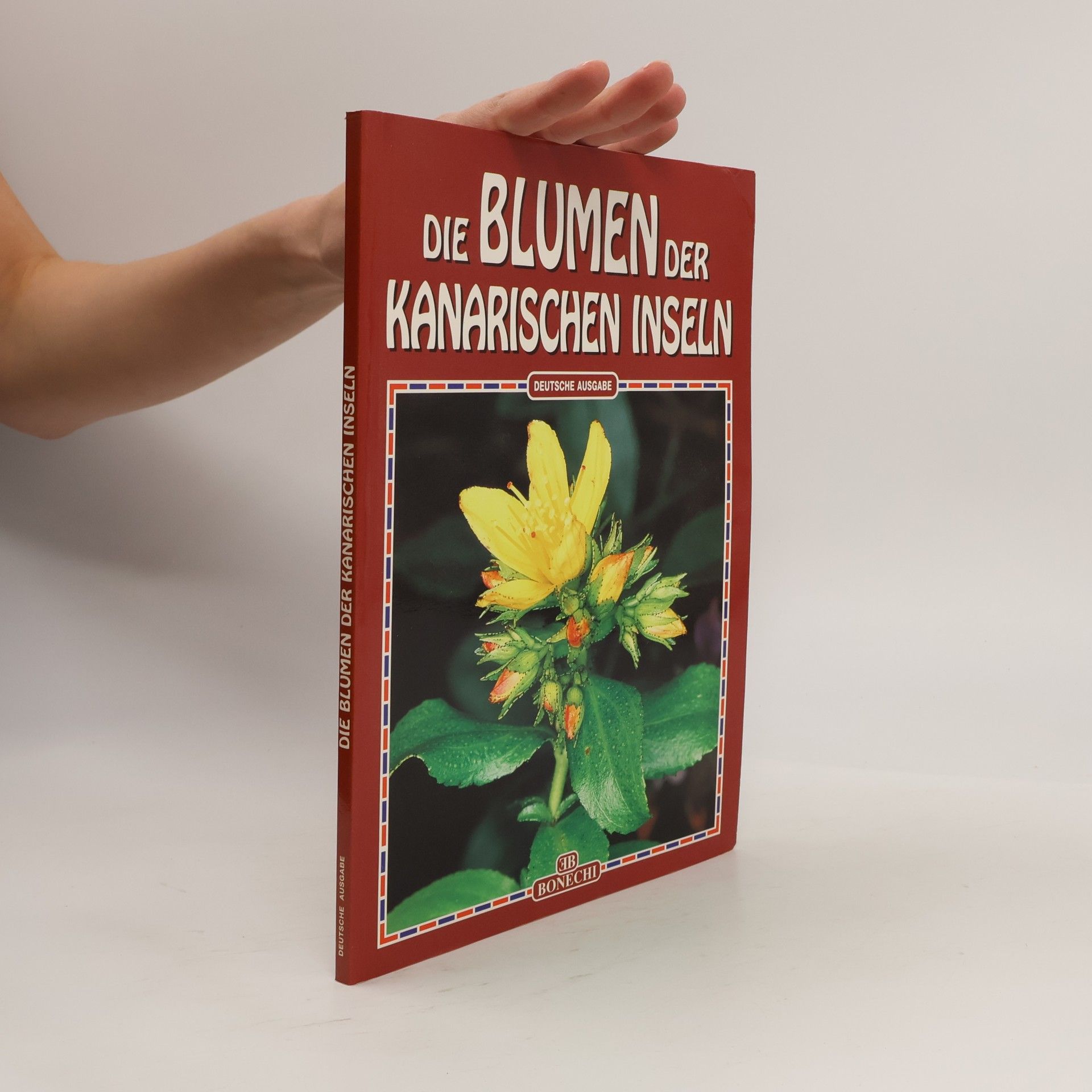 Die Blumen der Kanarischen Inseln