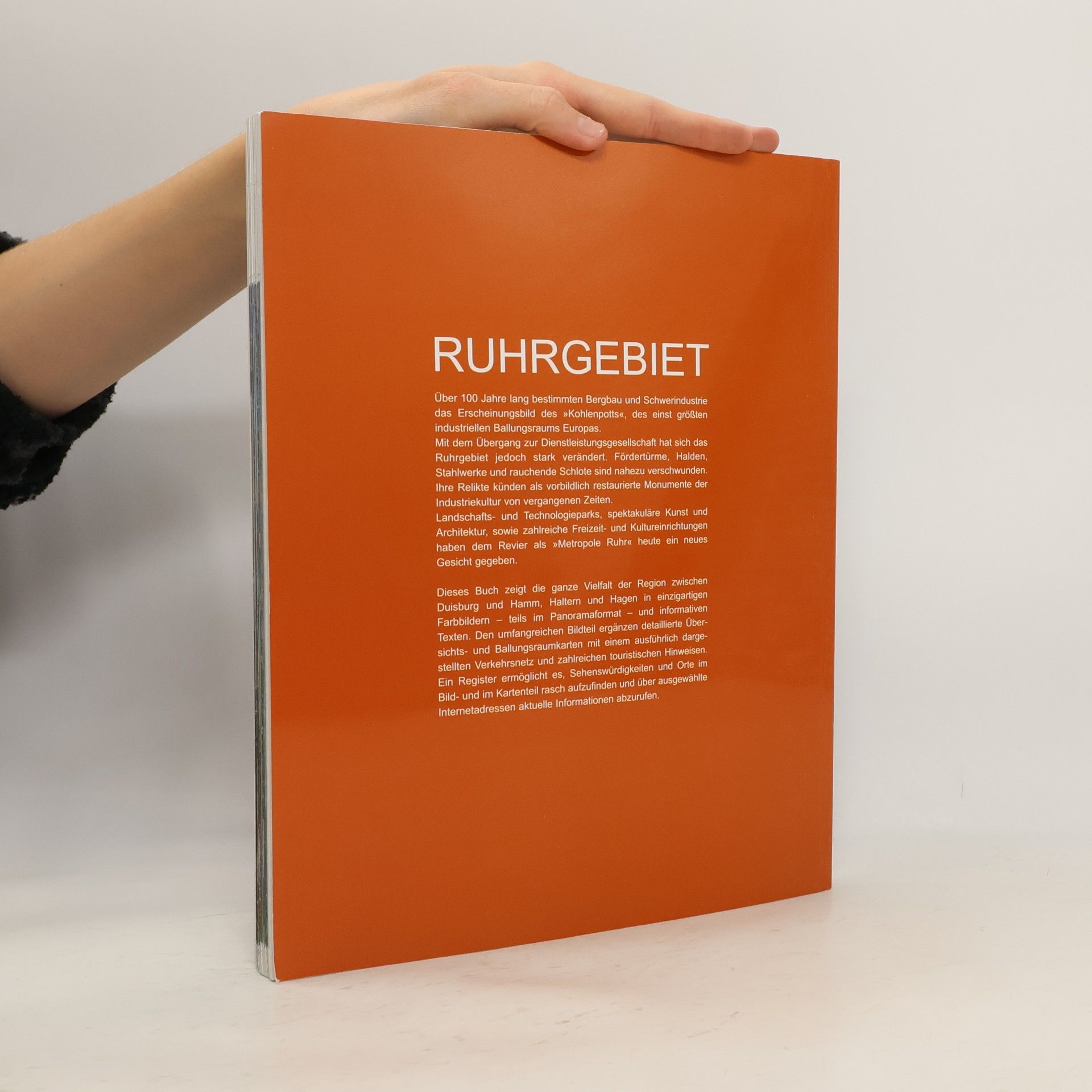Henning Aubel Ruhrgebiet