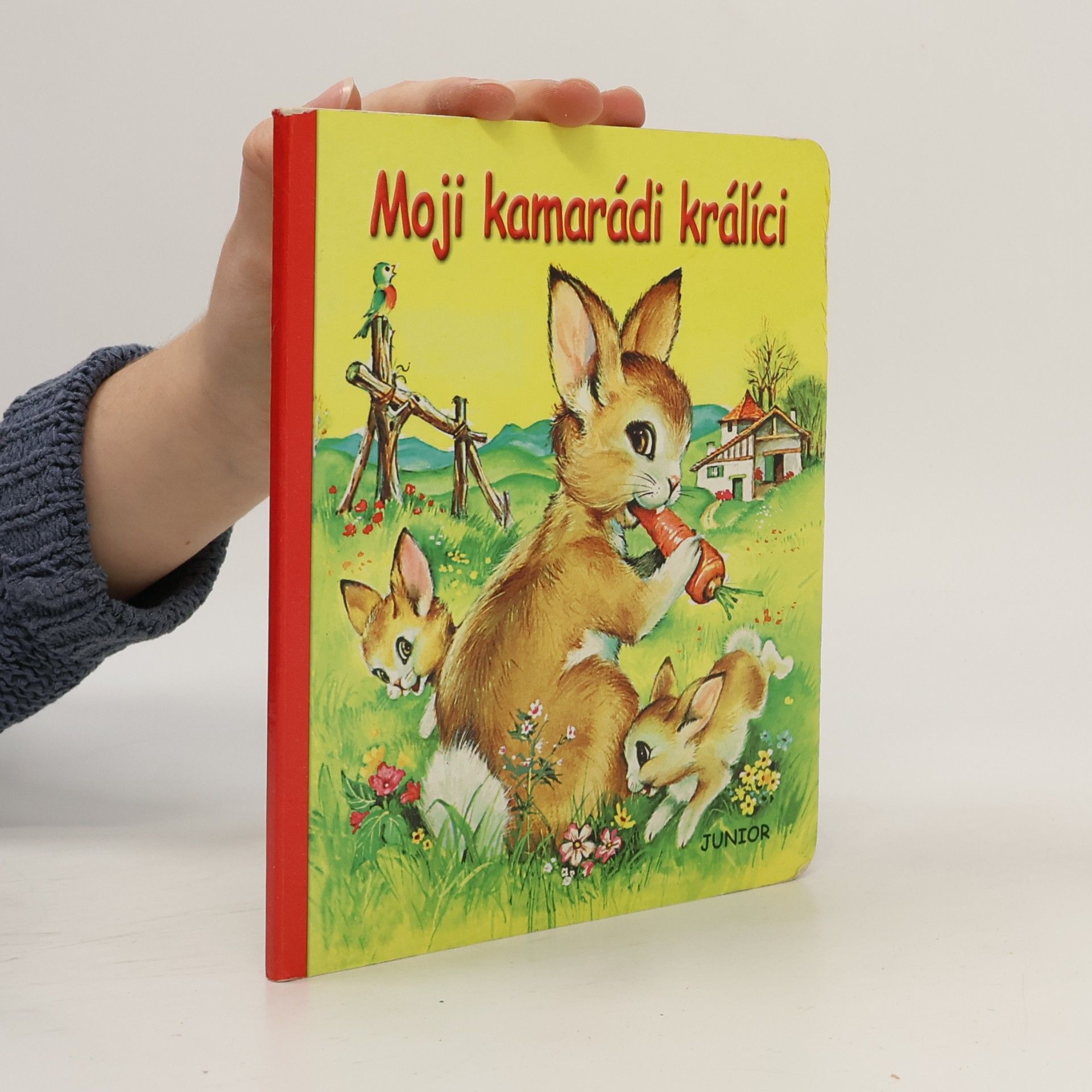 Dana Winkler Moji kamarádi králíci