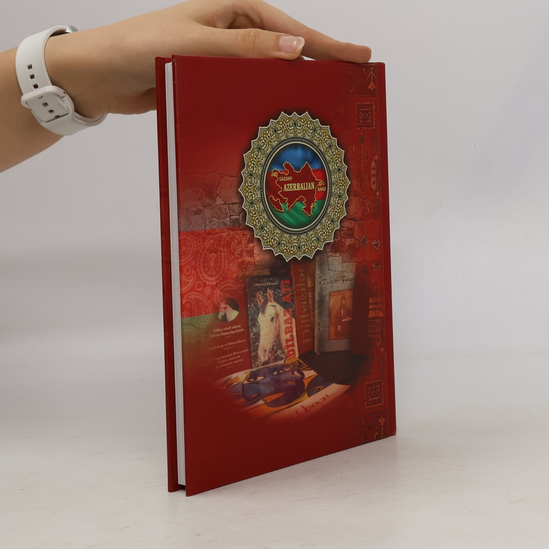 Ismail Baly Oglu Umudlu HISTORY OF THE DILBAZI NOBLE FAMILY