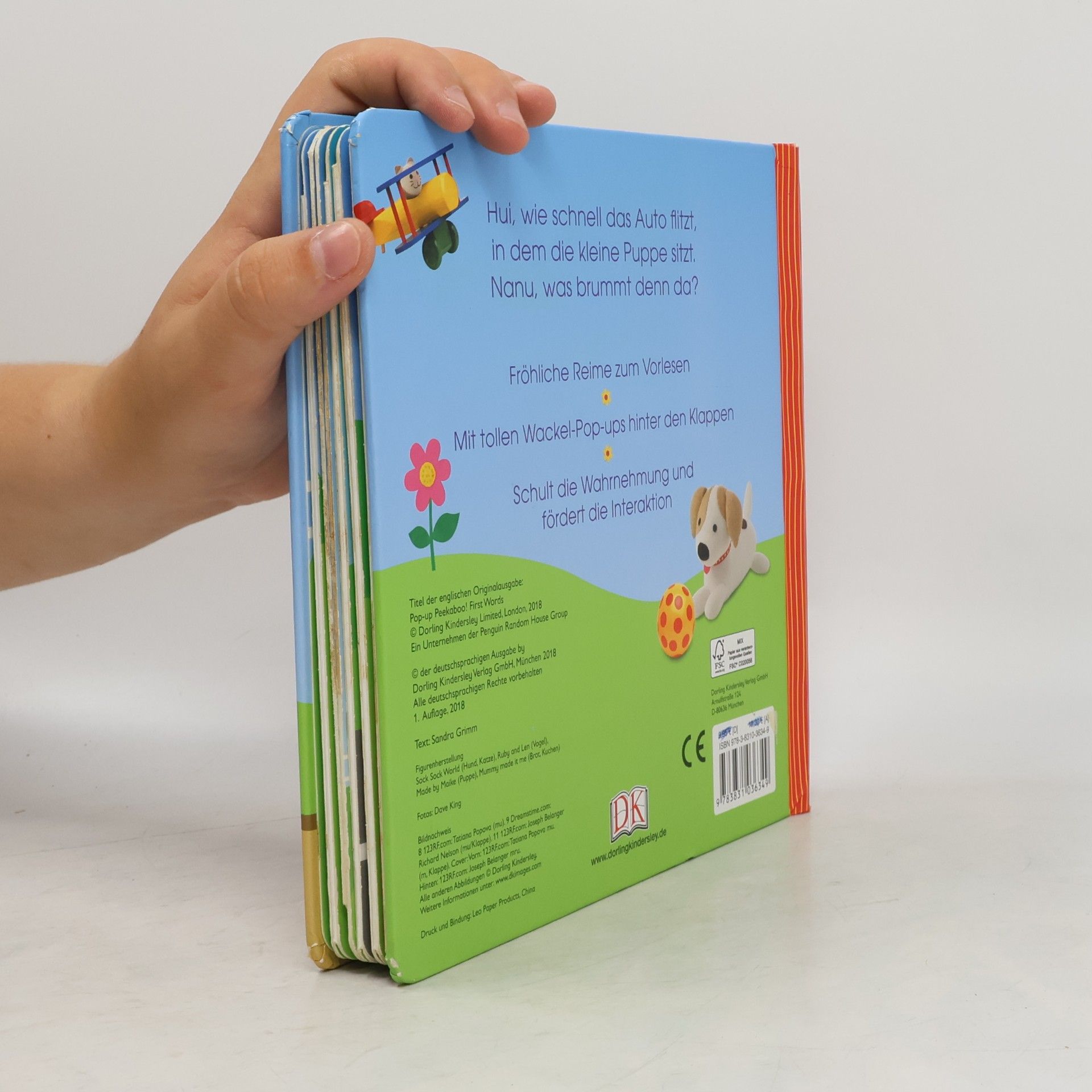 Sandra Grimm Mein liebstes Pop-up-Buch - erste Wörter
