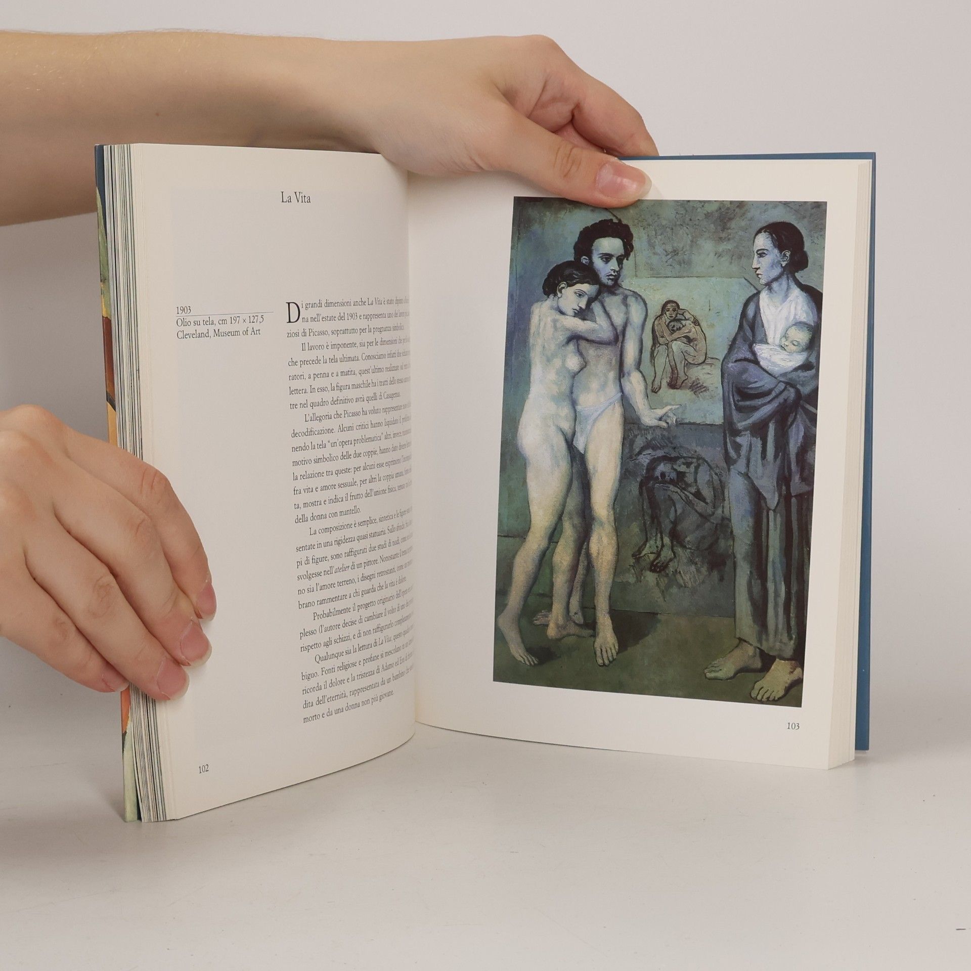 Autorenkollektiv Picasso