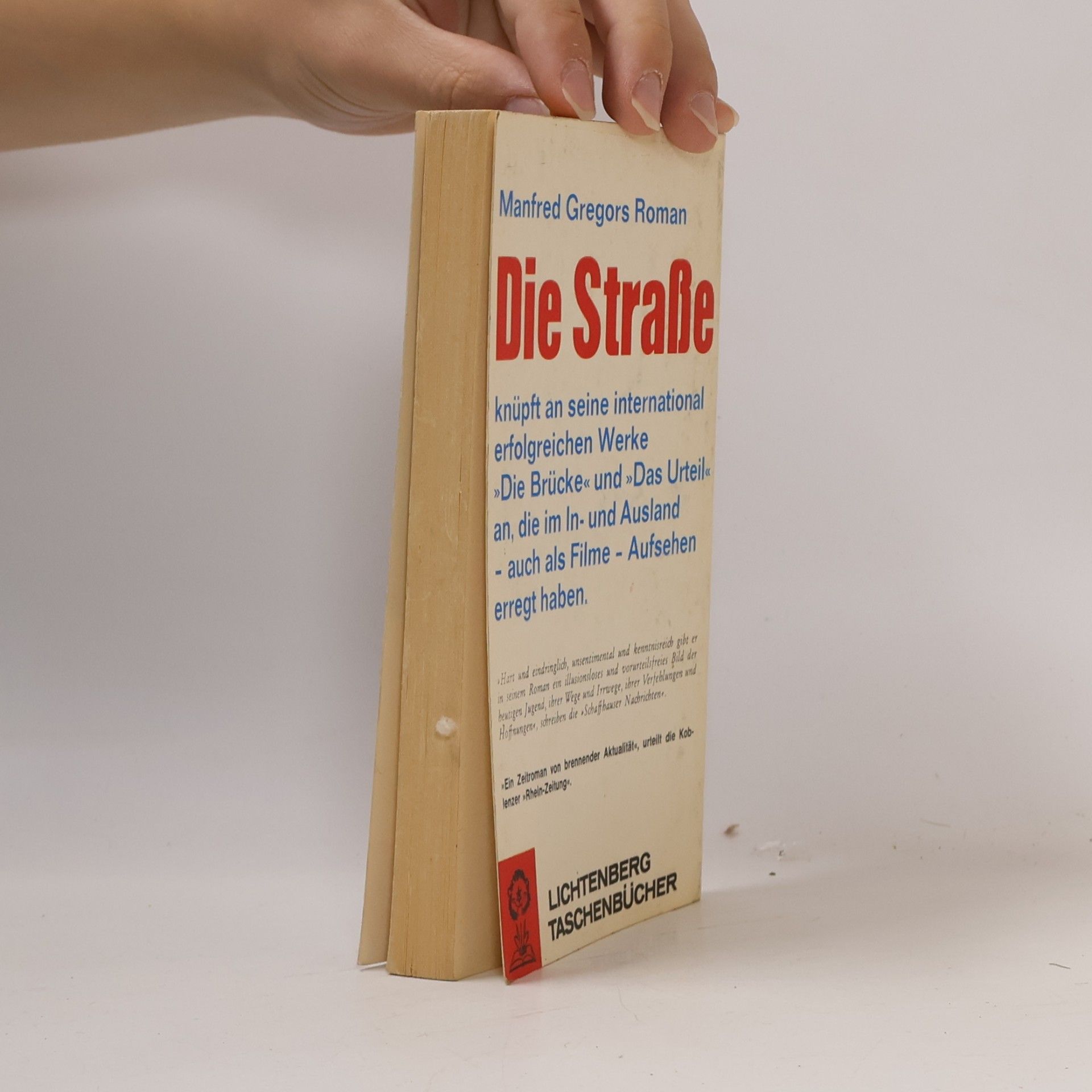 Manfred Gregor Die Strasse