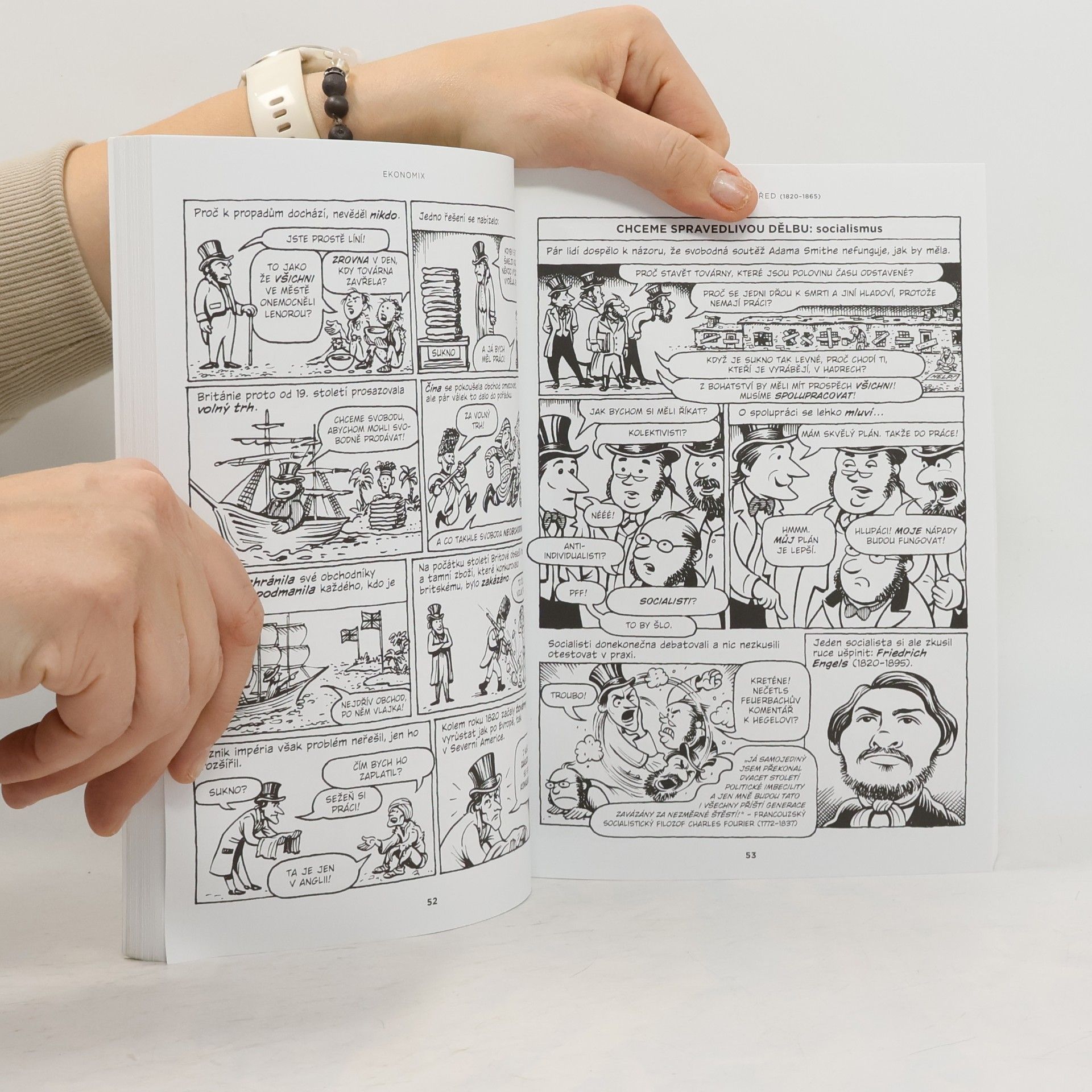 Michael Goodwin Ekonomix: Jak funguje (a nefunguje) ekonomika